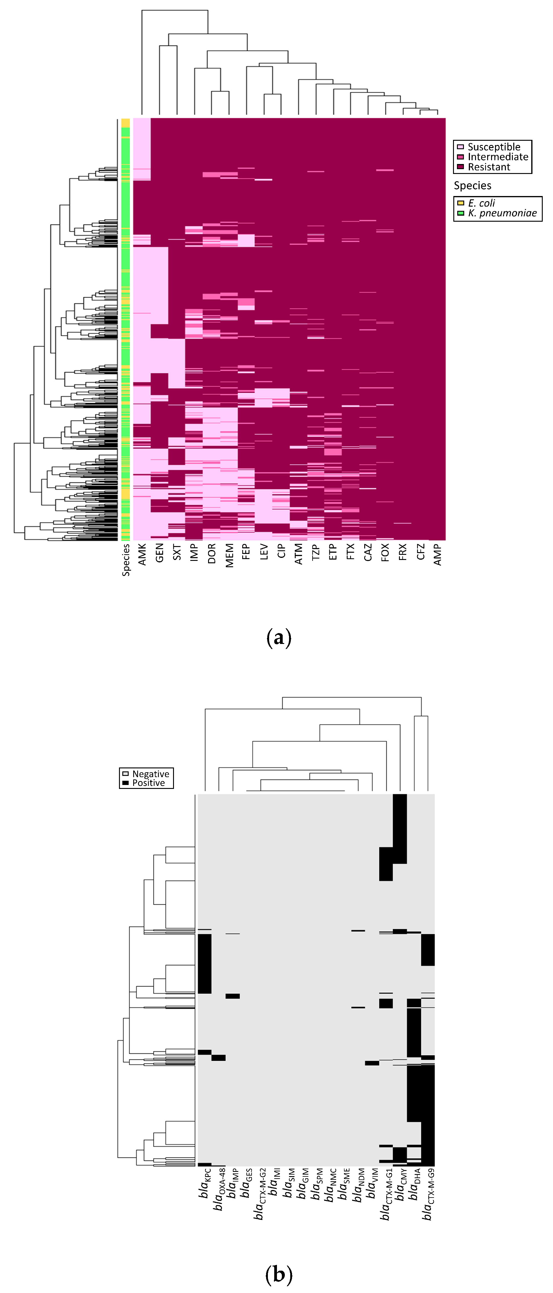 Microorganisms 08 01981 g001 Microorganisms 08 01981 g001