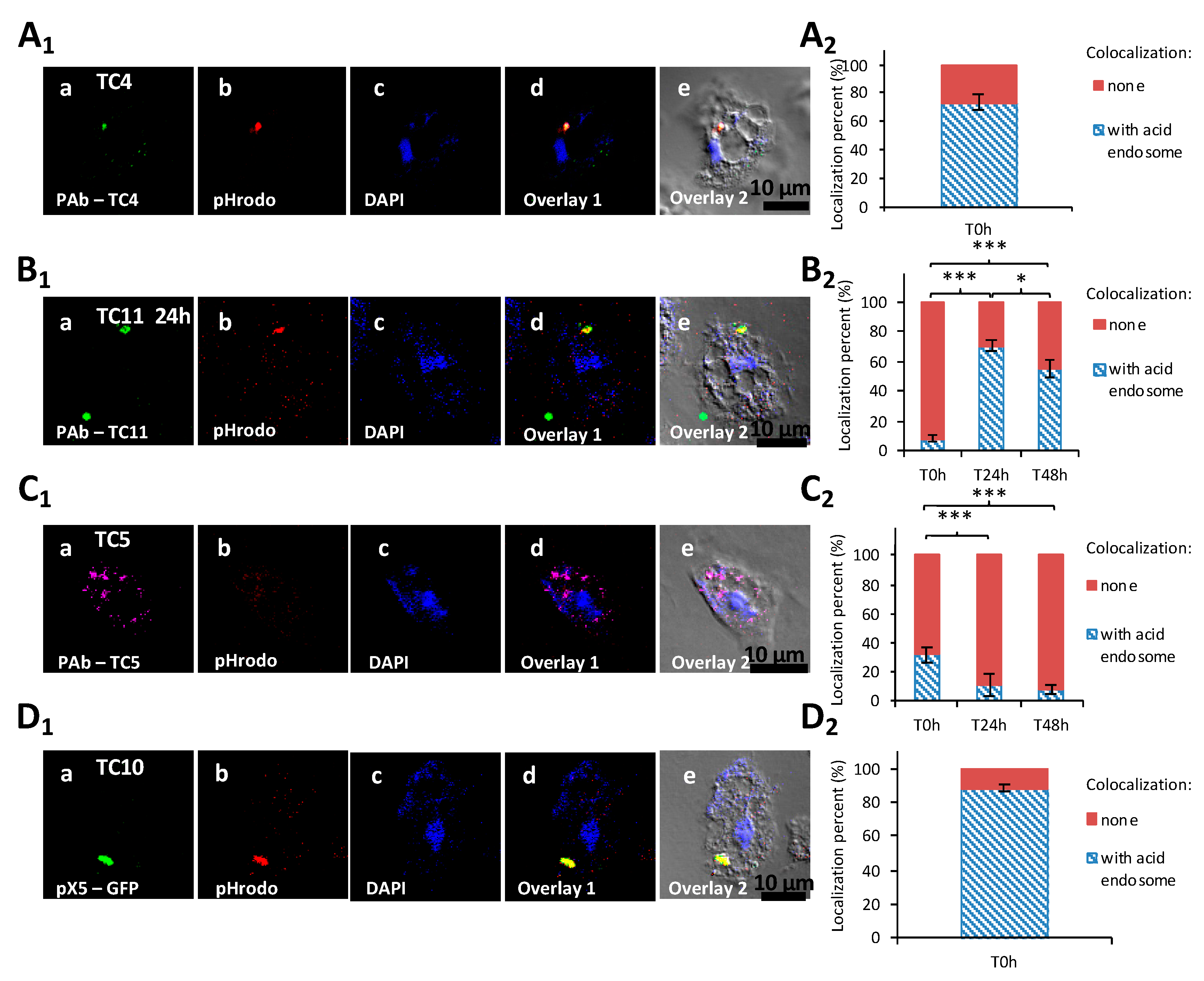 Microorganisms 08 01982 g005 Microorganisms 08 01982 g005