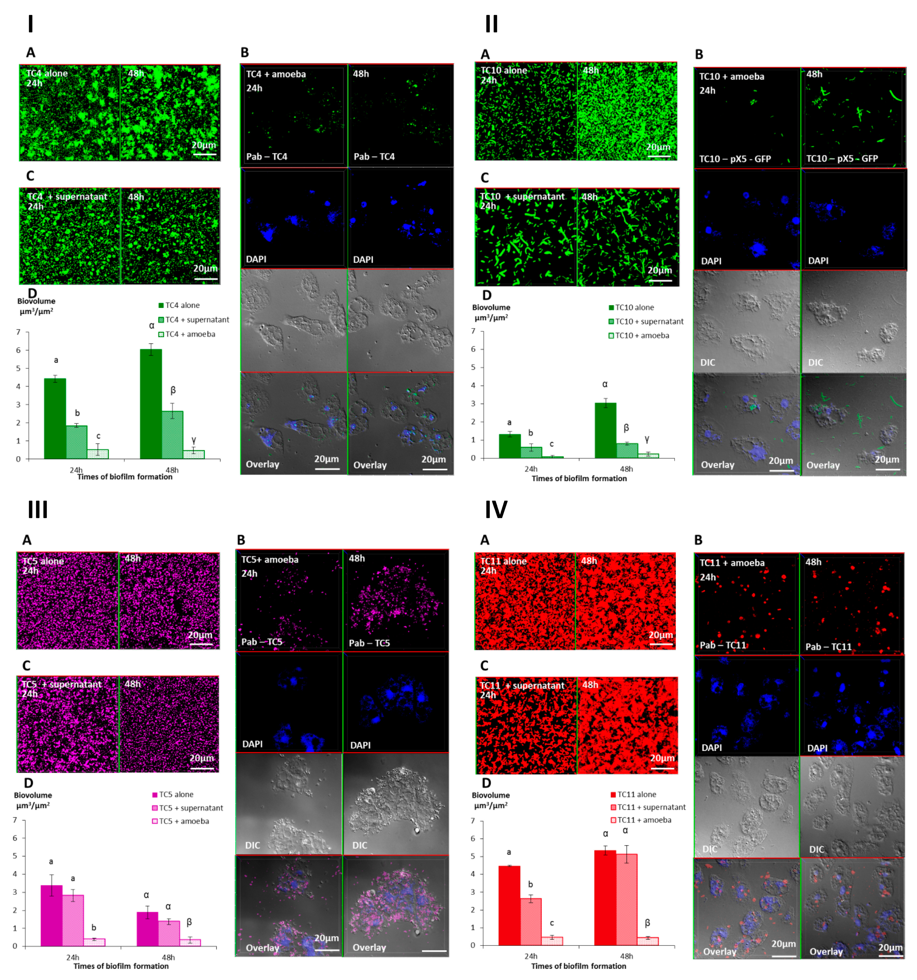 Microorganisms 08 01982 g006 Microorganisms 08 01982 g006
