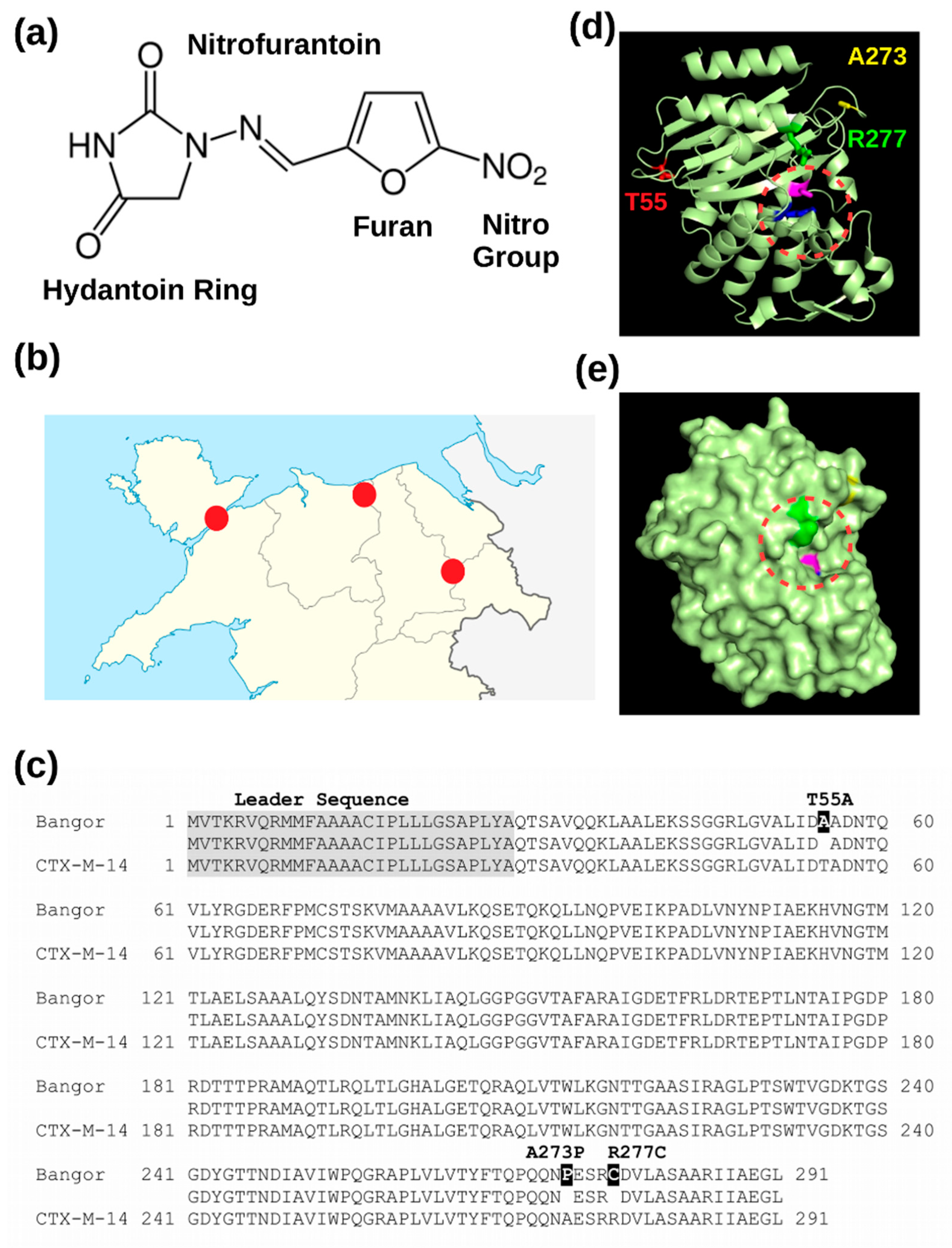 Microorganisms 08 01983 g001 Microorganisms 08 01983 g001