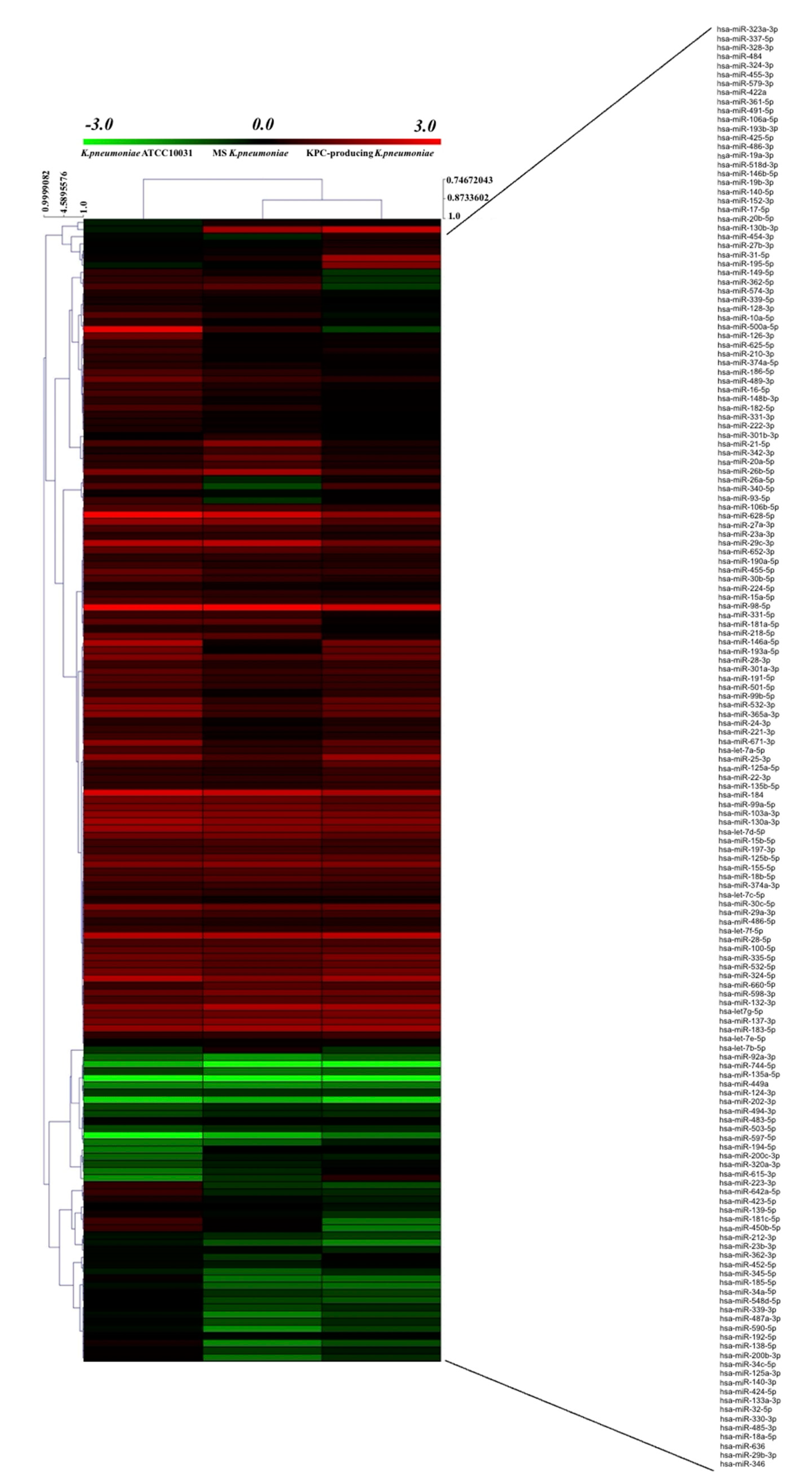 Microorganisms 08 01985 g002 Microorganisms 08 01985 g002