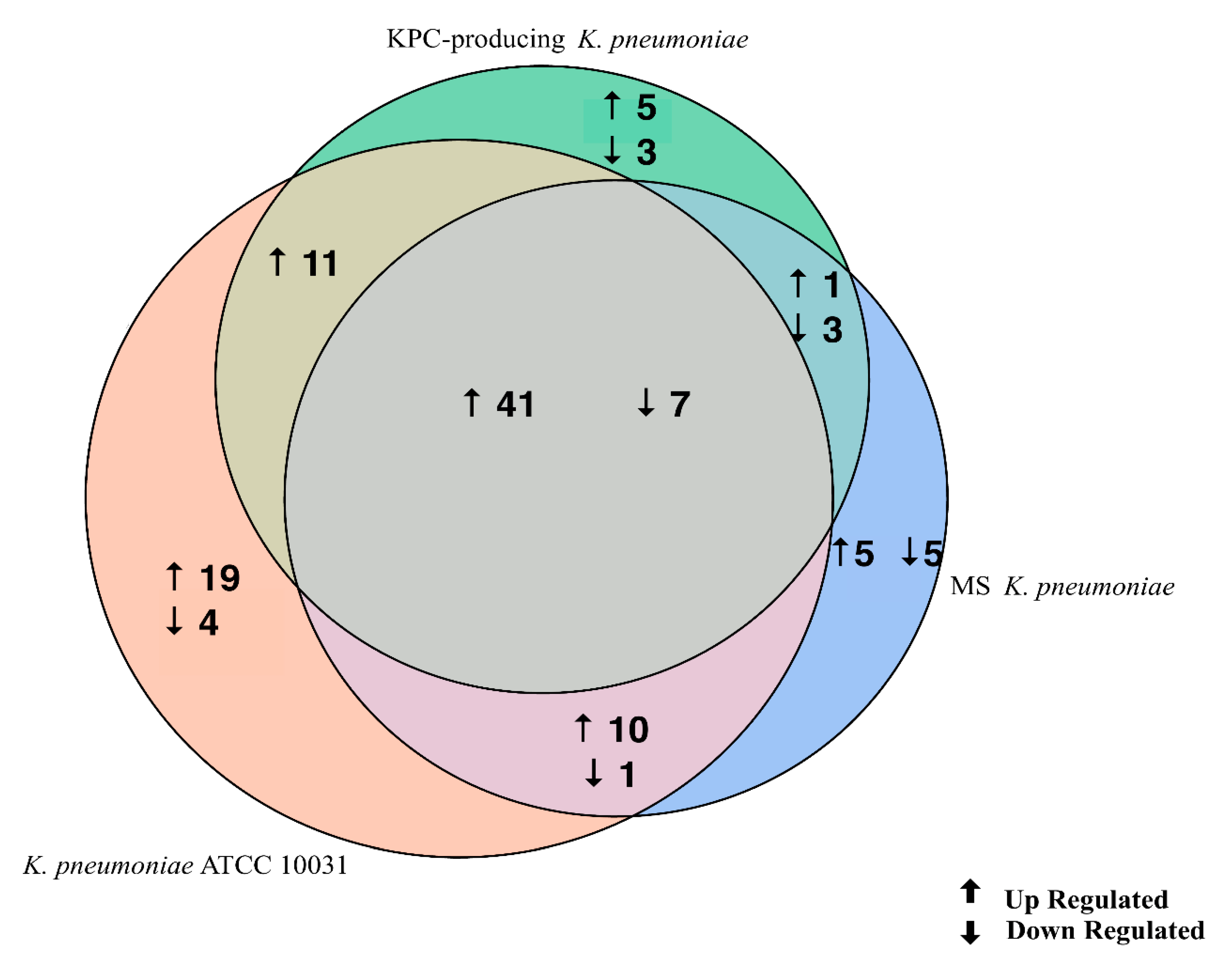Microorganisms 08 01985 g003 Microorganisms 08 01985 g003