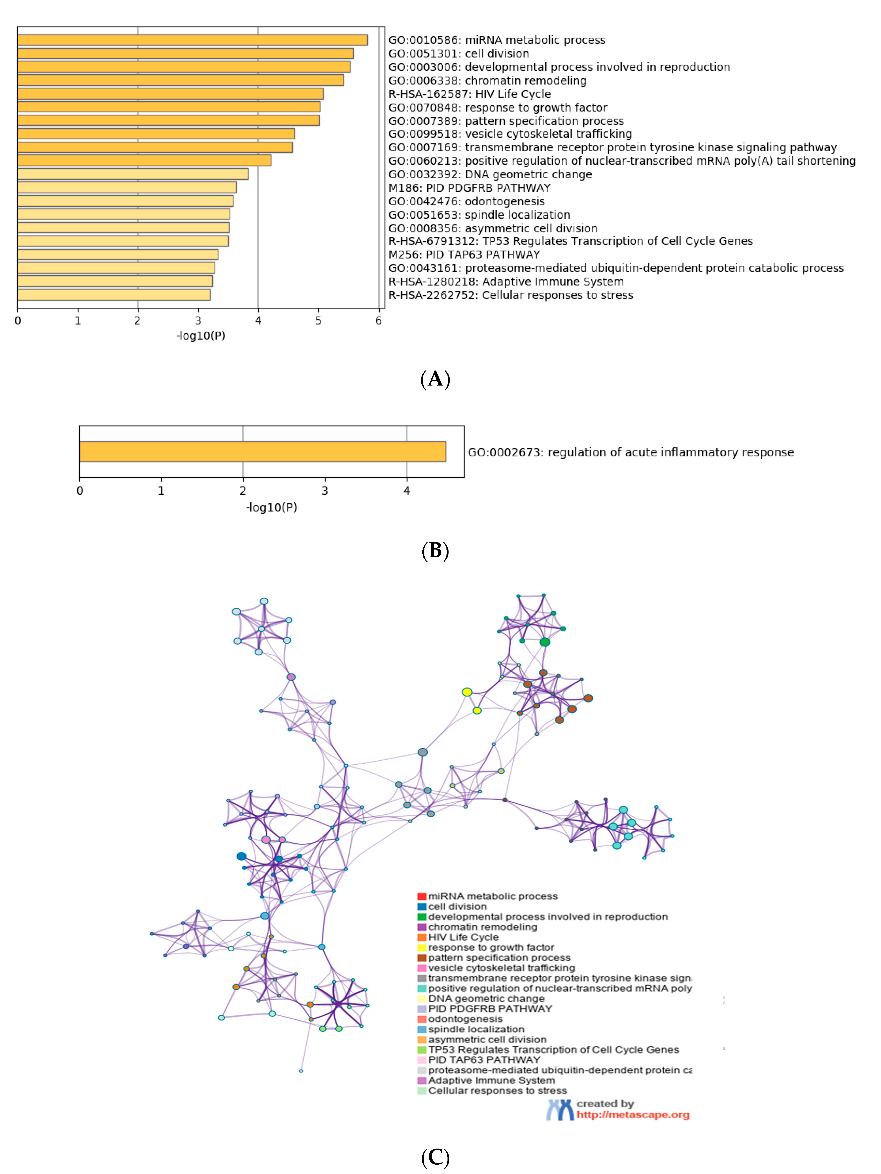 Microorganisms 08 01985 g004 Microorganisms 08 01985 g004