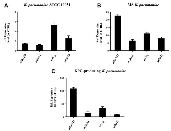 Microorganisms 08 01985 g006 550