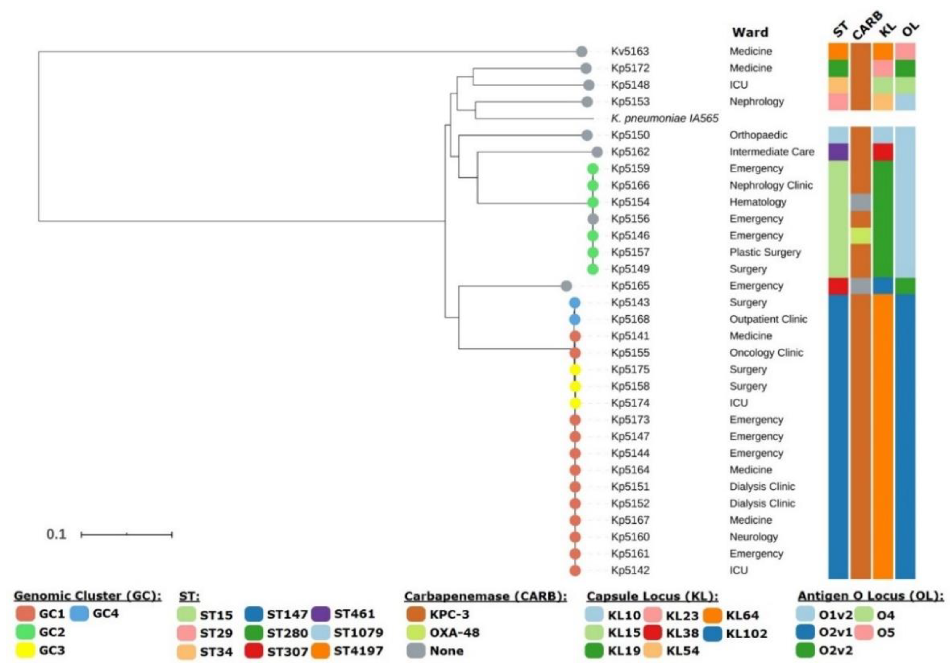 Microorganisms 08 01986 g001 Microorganisms 08 01986 g001
