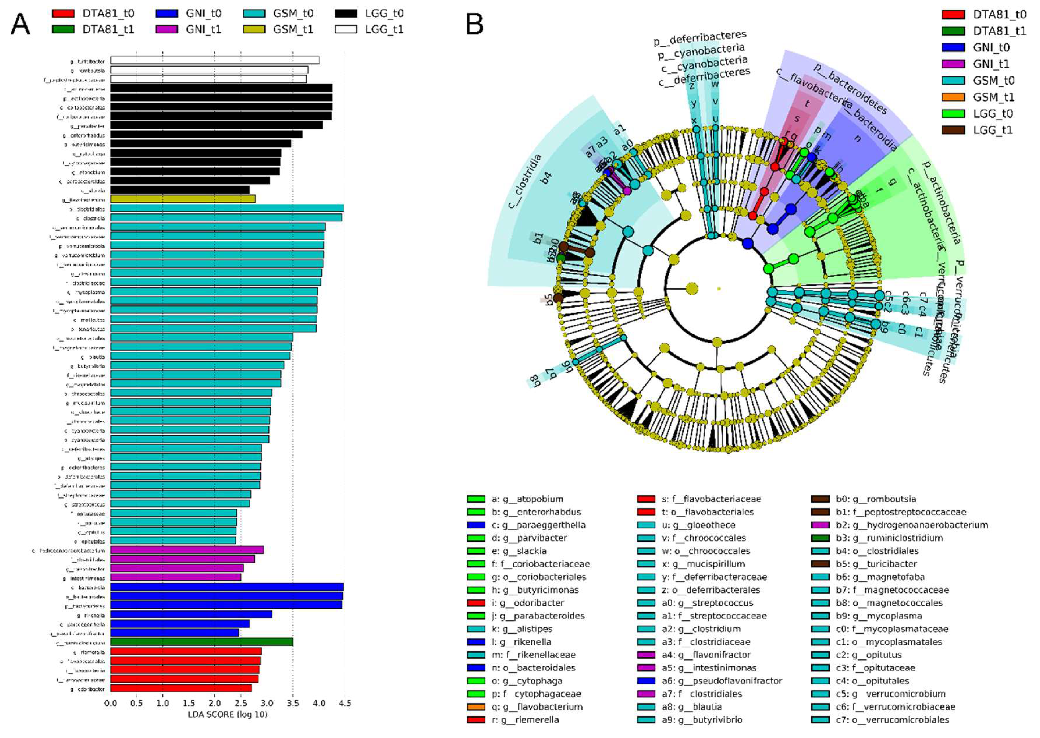 Microorganisms 08 01994 g007 Microorganisms 08 01994 g007
