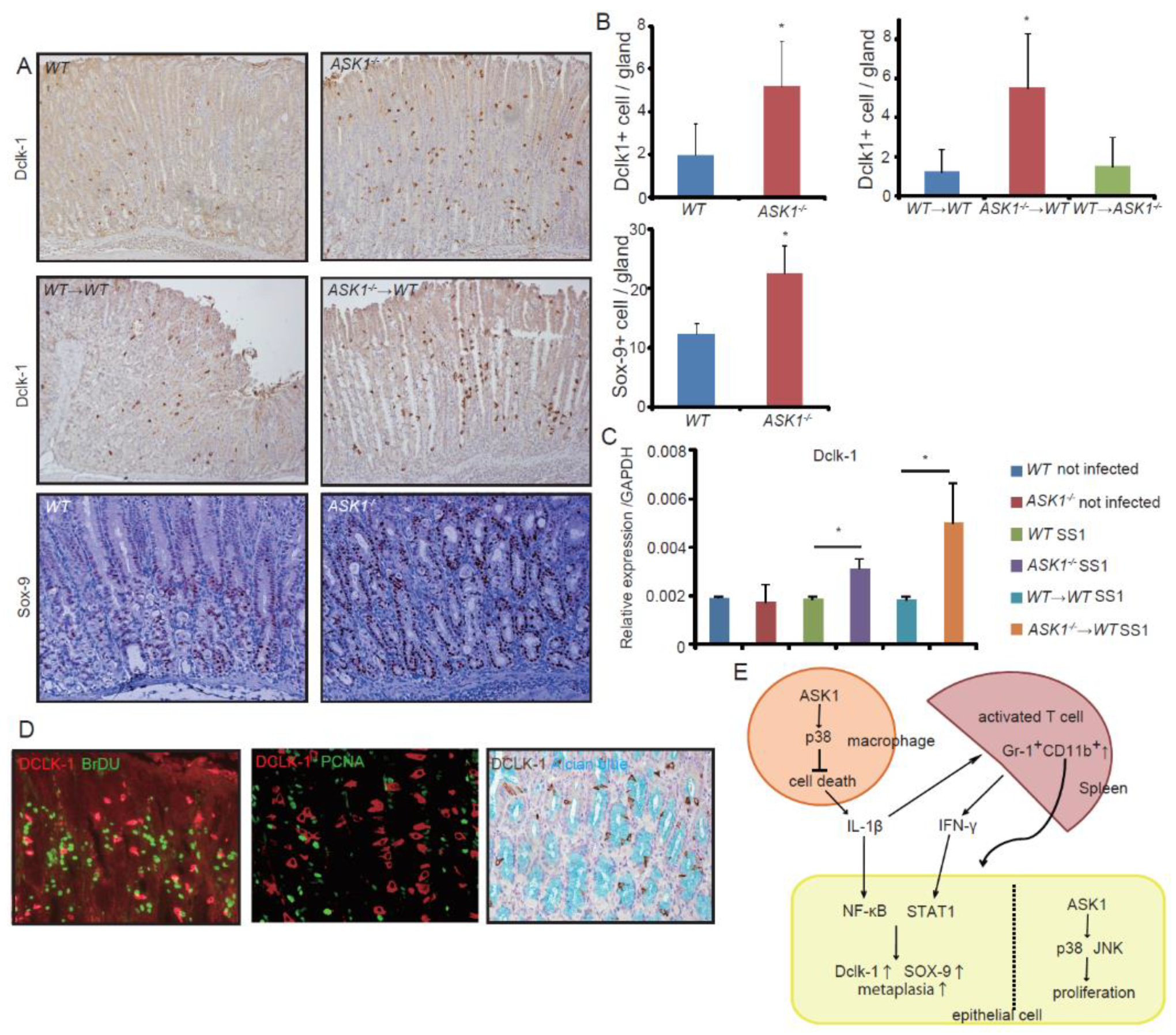 Microorganisms 08 01995 g006 Microorganisms 08 01995 g006