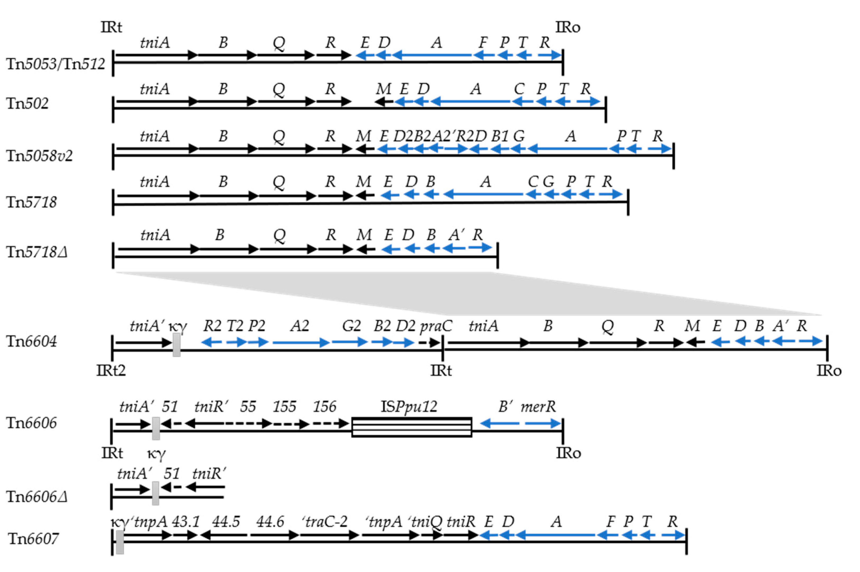 Microorganisms 08 01997 g001 Microorganisms 08 01997 g001