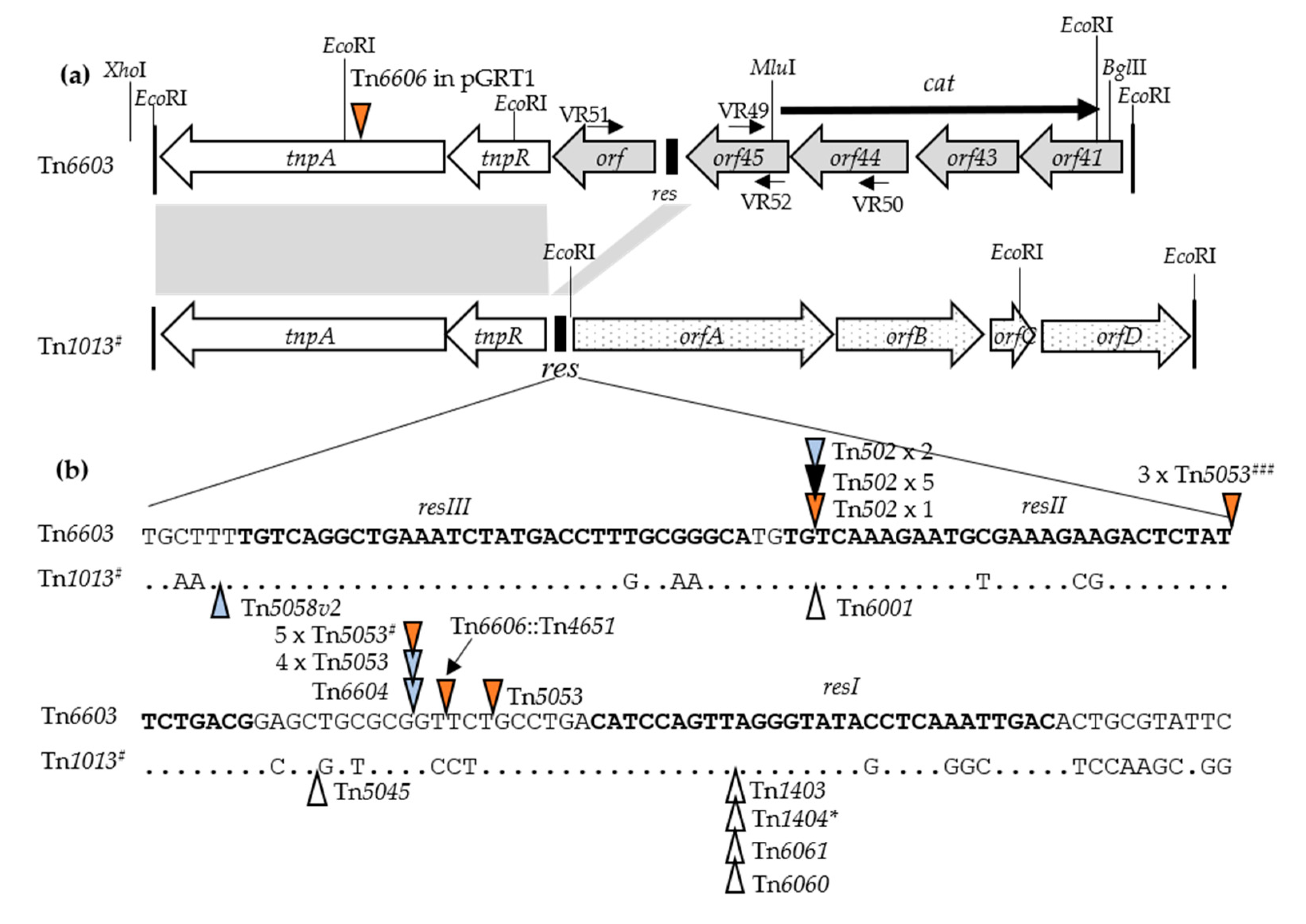Microorganisms 08 01997 g003 Microorganisms 08 01997 g003