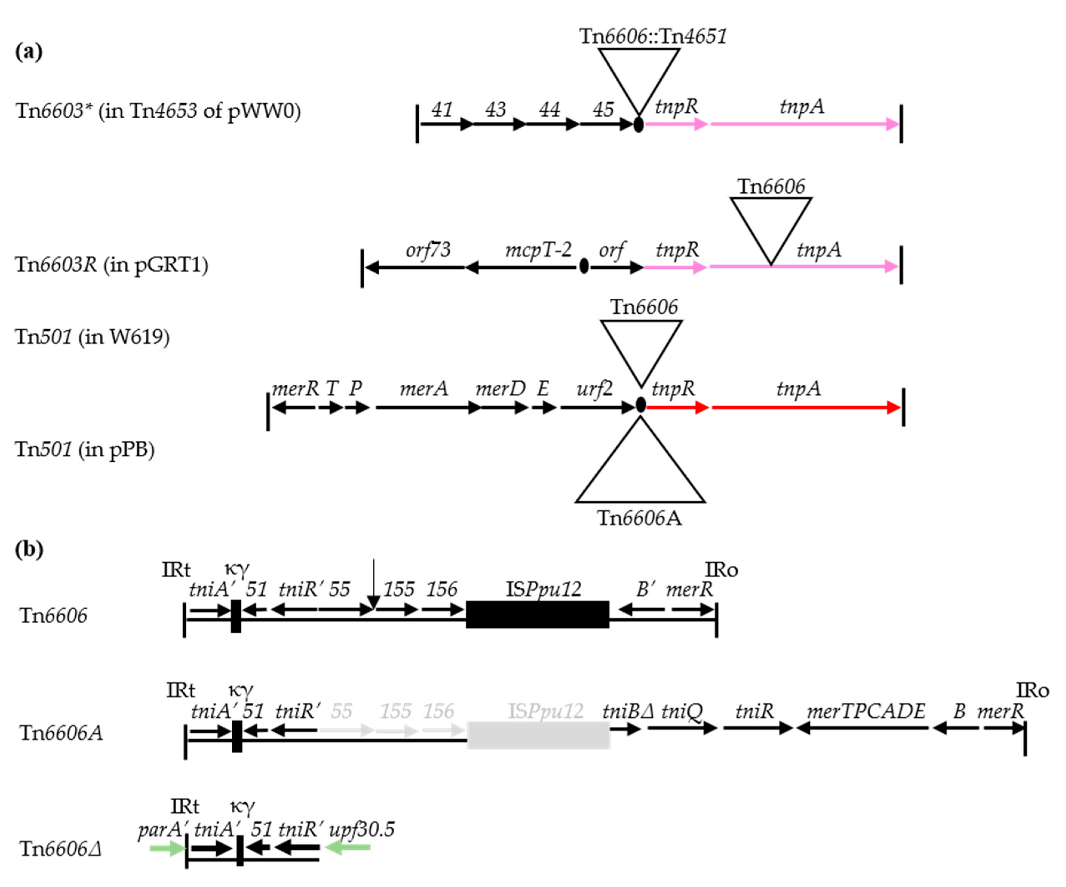 Microorganisms 08 01997 g005 Microorganisms 08 01997 g005