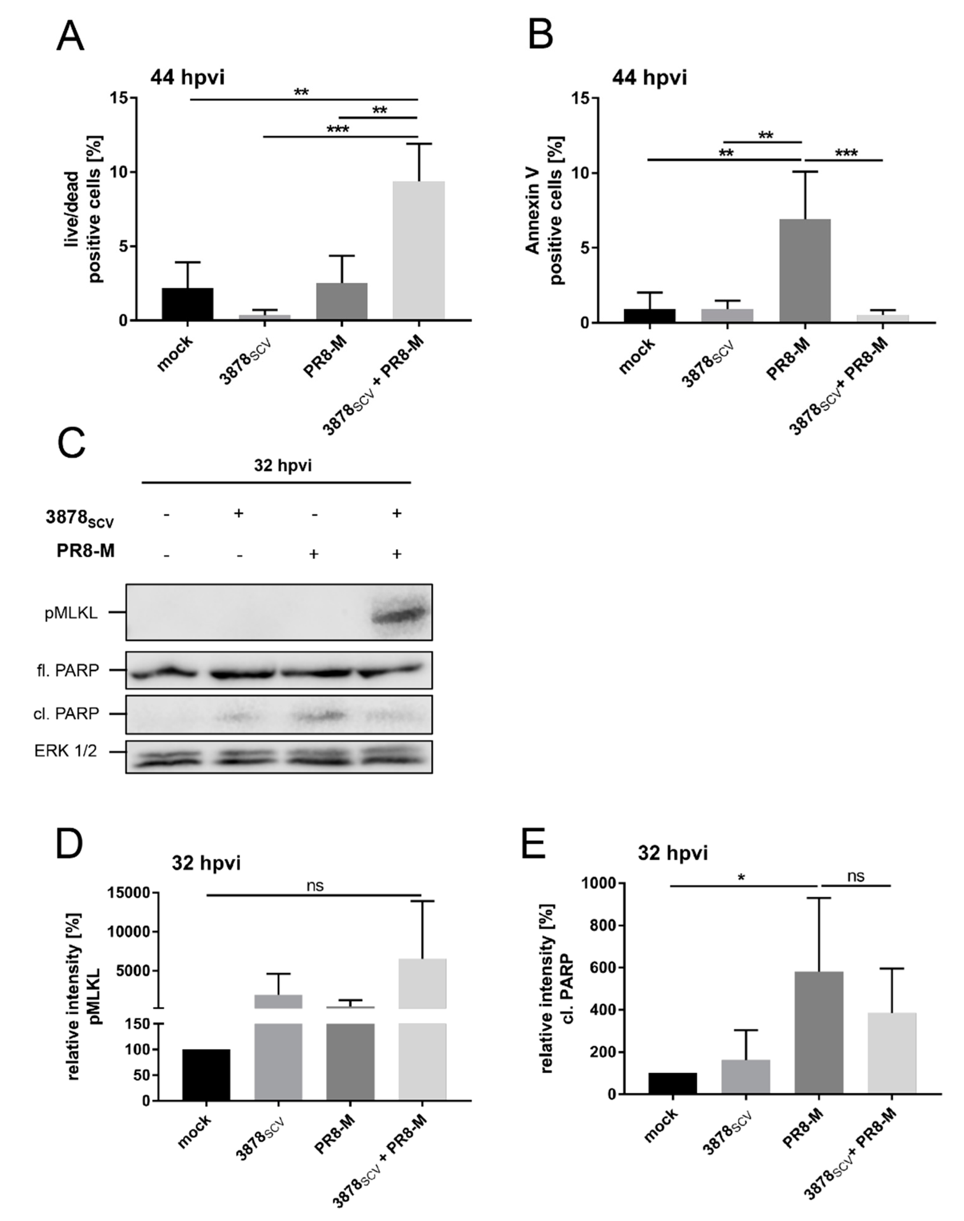 Microorganisms 08 01998 g006