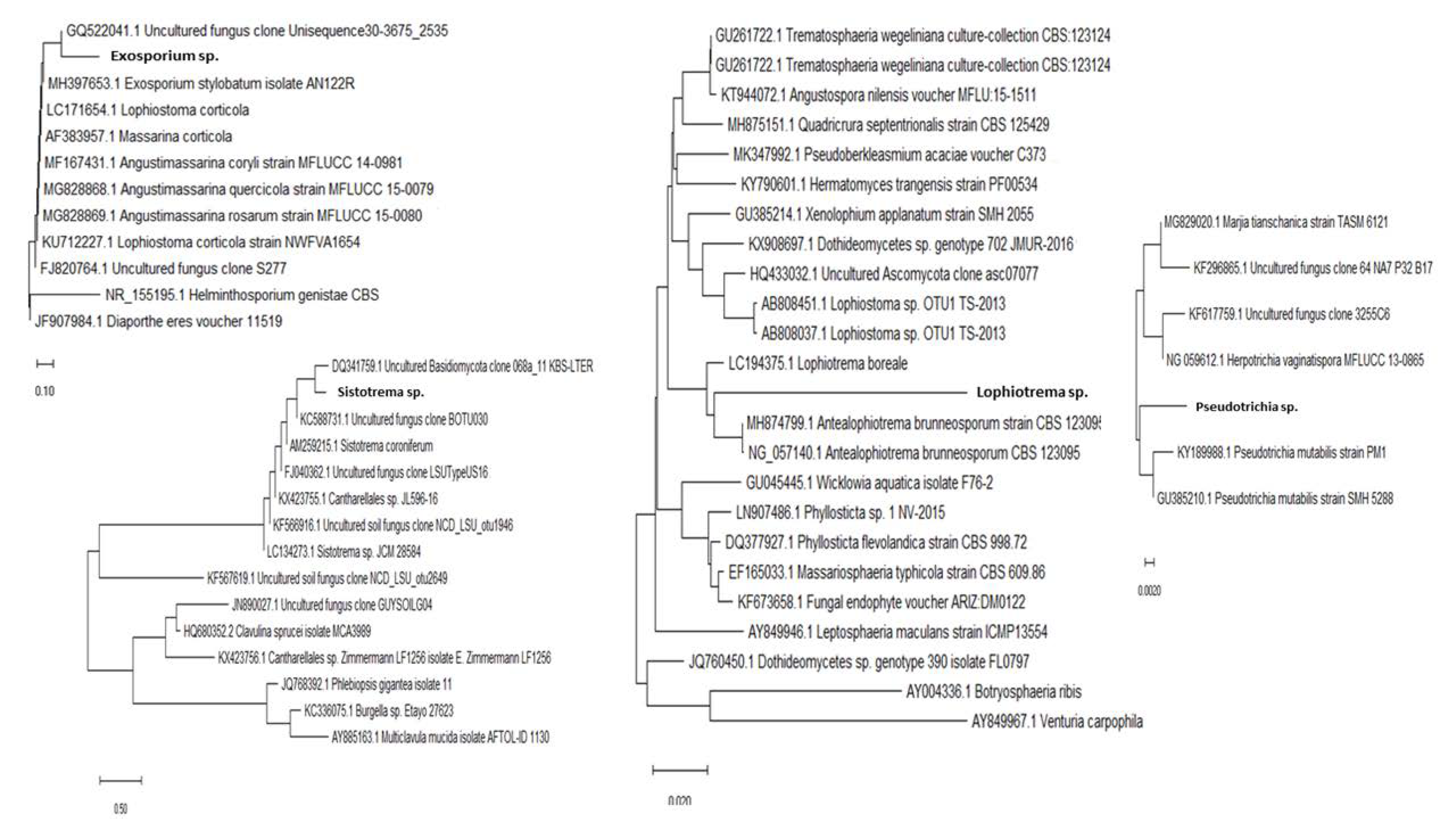 Microorganisms 08 01999 g007