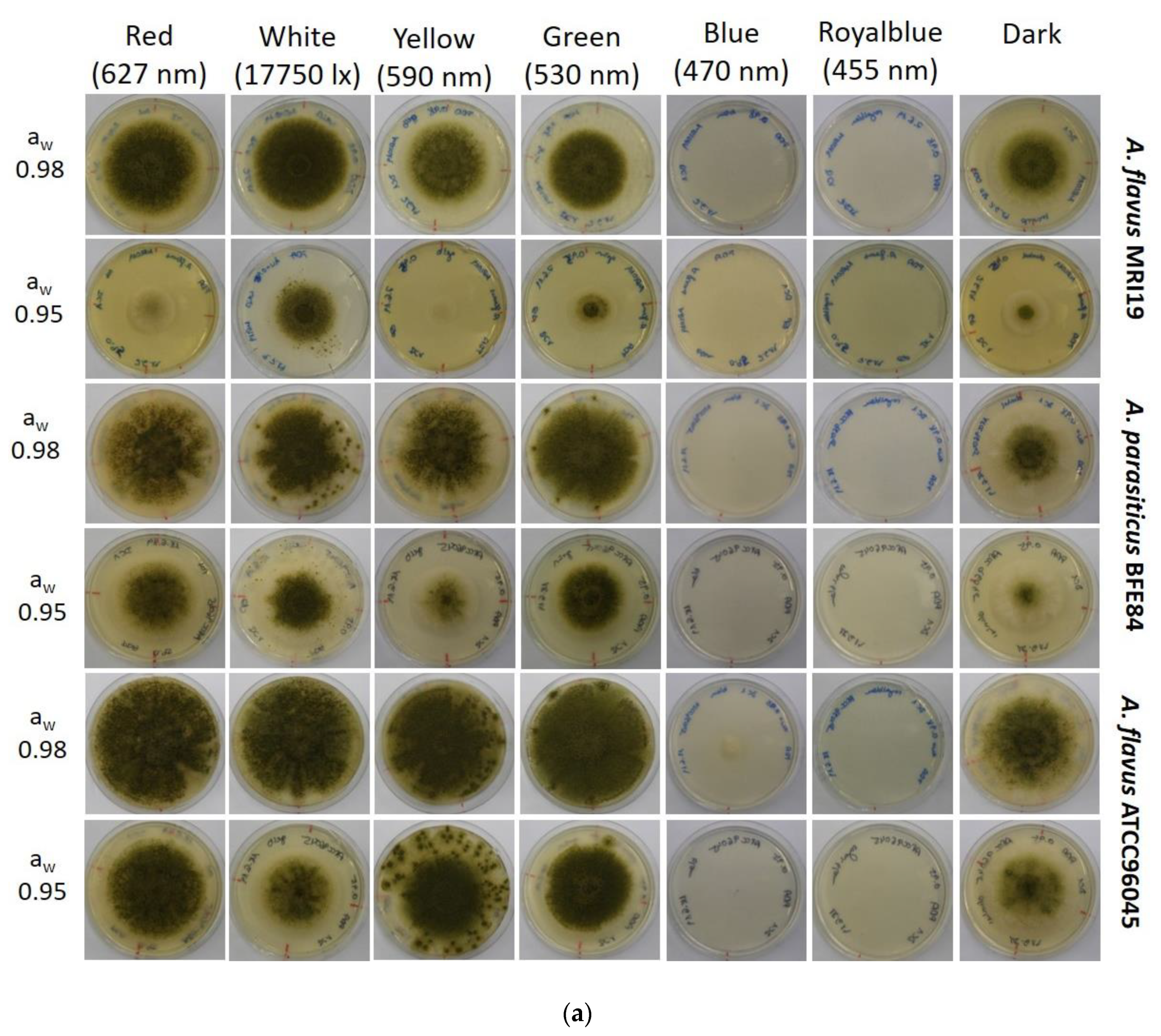 Microorganisms 08 02000 g001a Microorganisms 08 02000 g001a