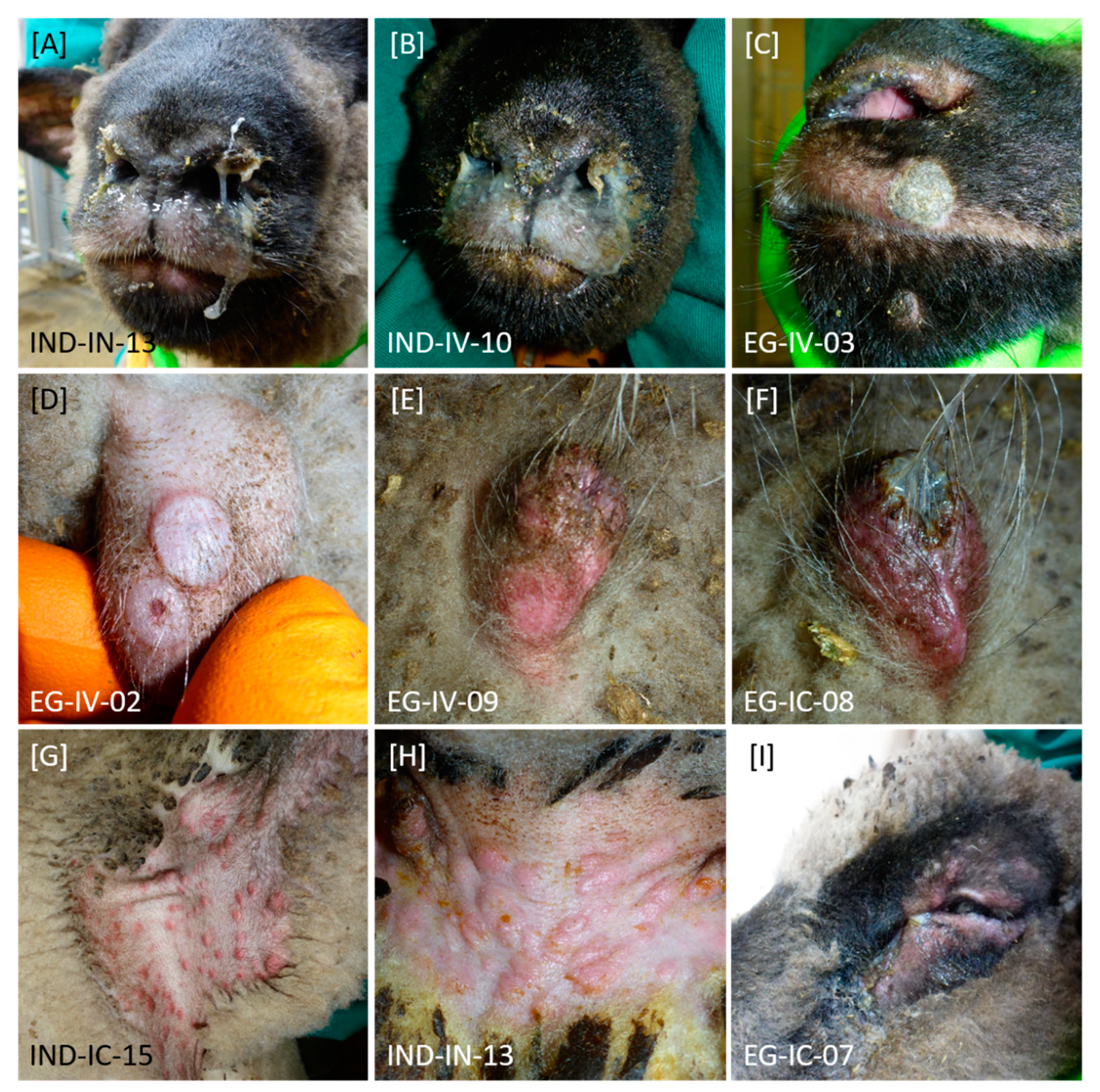 Microorganisms 08 02001 g002 Microorganisms 08 02001 g002