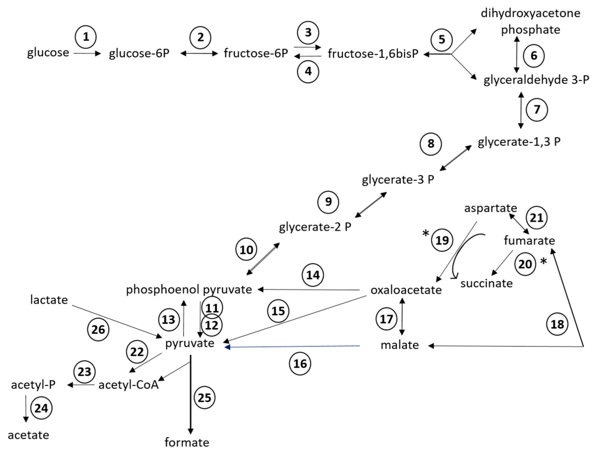 Microorganisms 08 02005 g002
