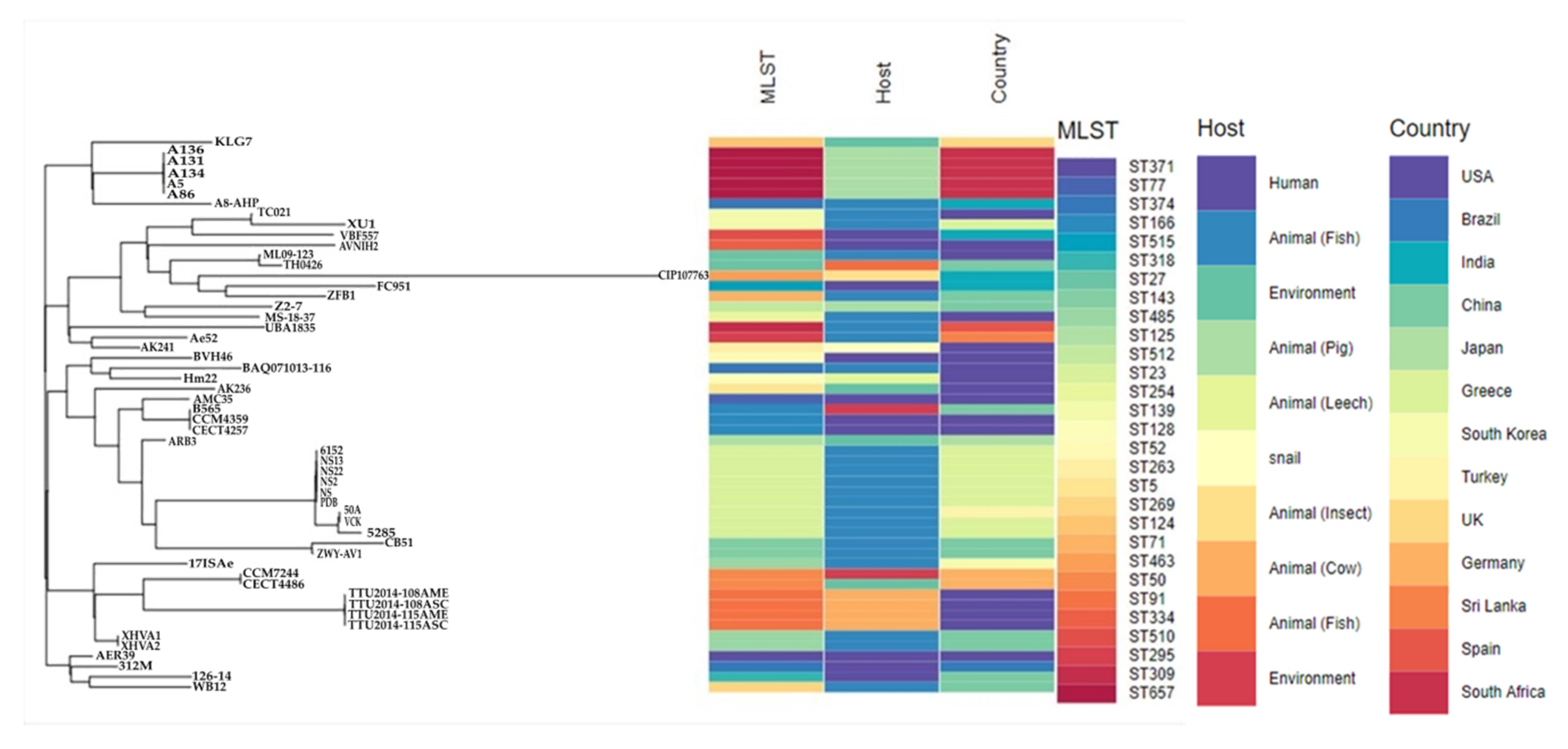 Microorganisms 08 02008 g005 Microorganisms 08 02008 g005