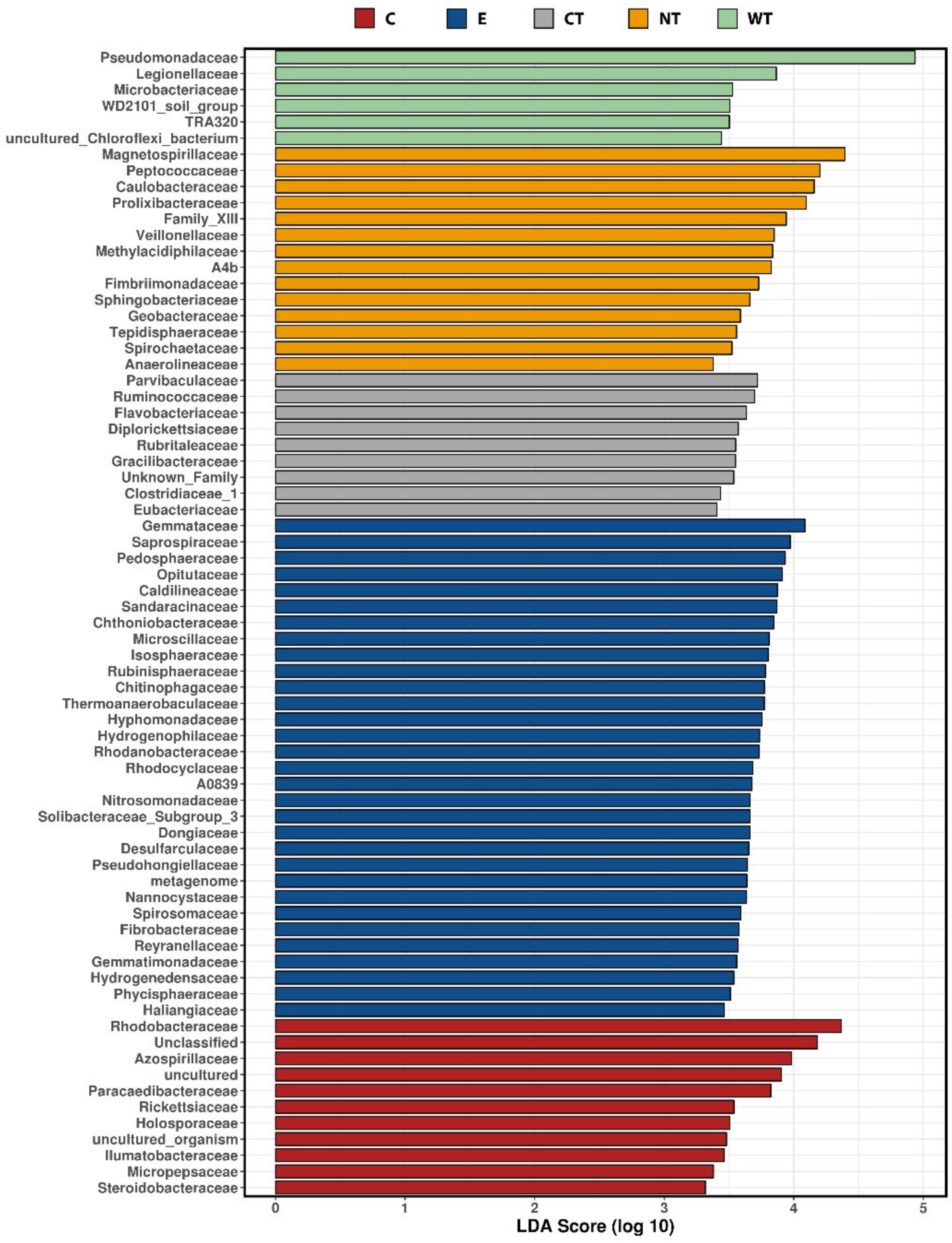Microorganisms 08 02015 g004