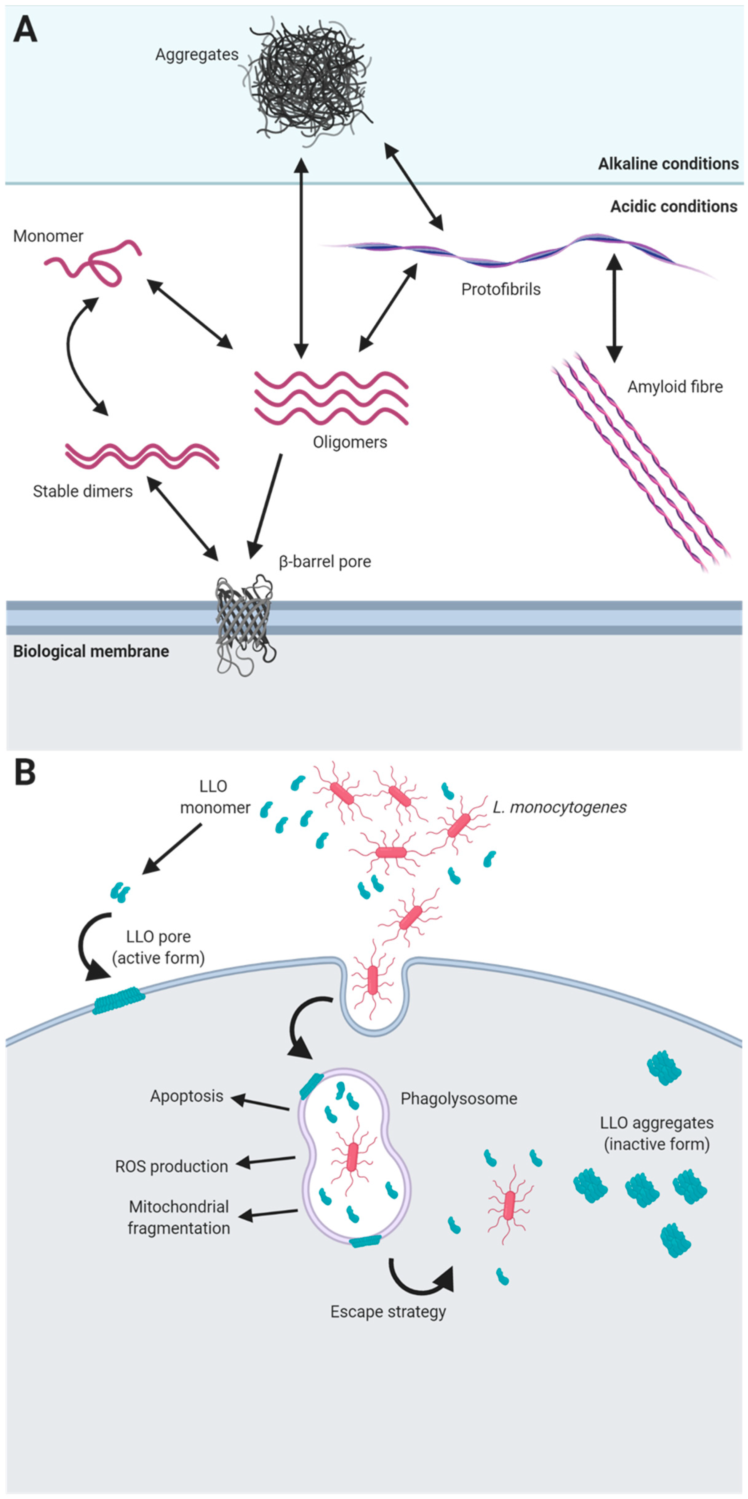 Microorganisms 08 02020 g001 Microorganisms 08 02020 g001