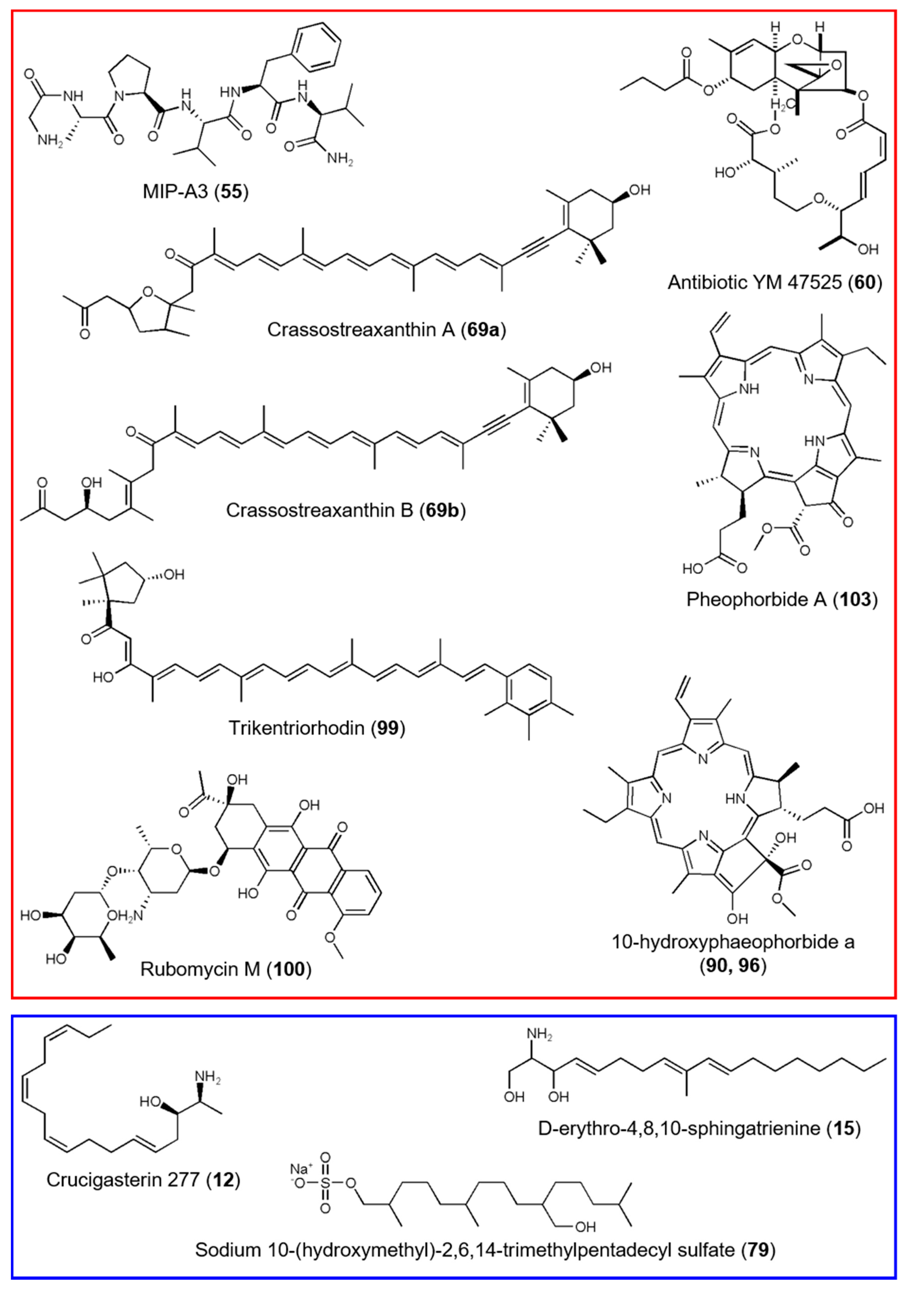Microorganisms 08 02022 g006 Microorganisms 08 02022 g006