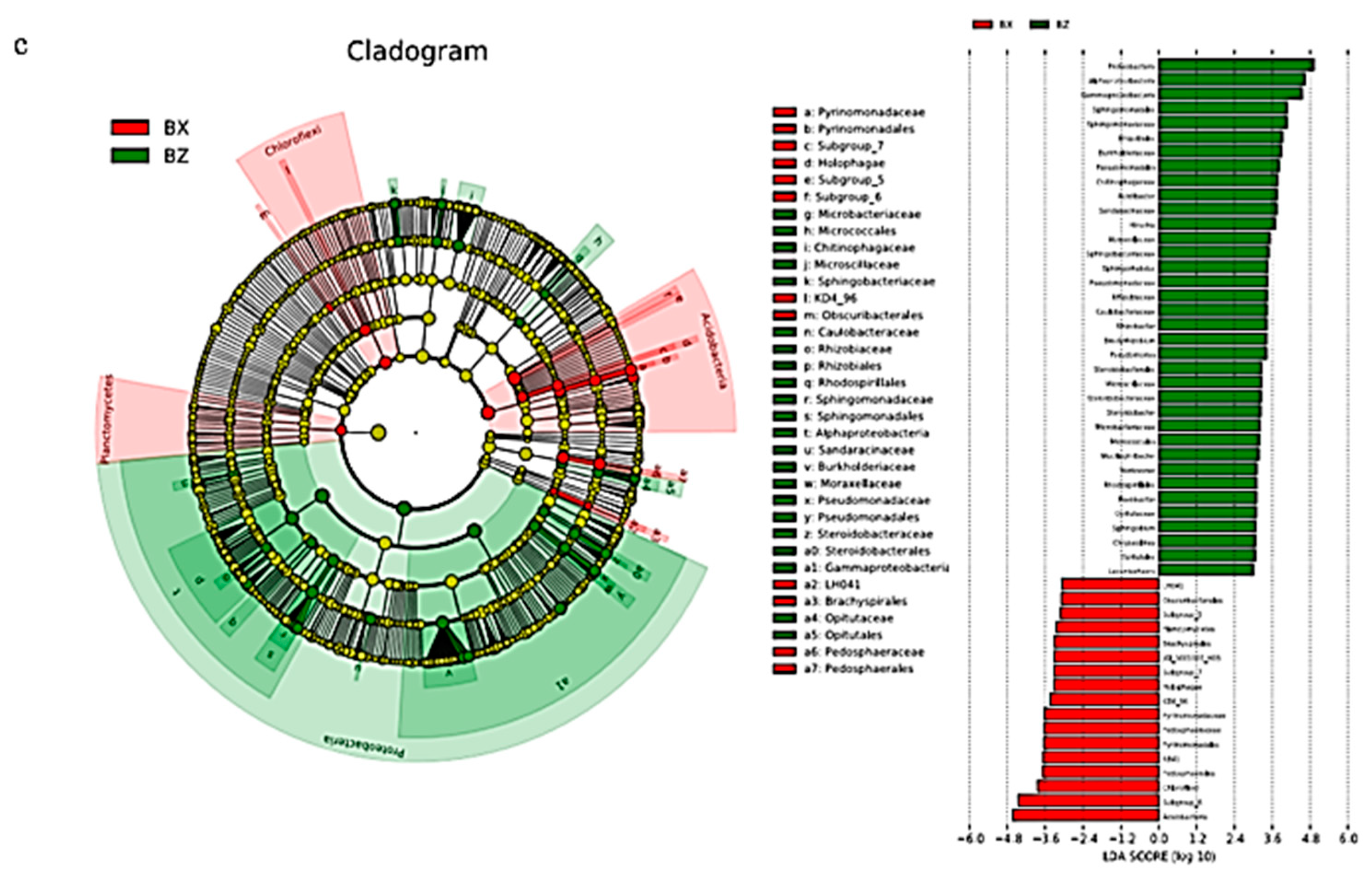 Microorganisms 08 02023 g004b Microorganisms 08 02023 g004b