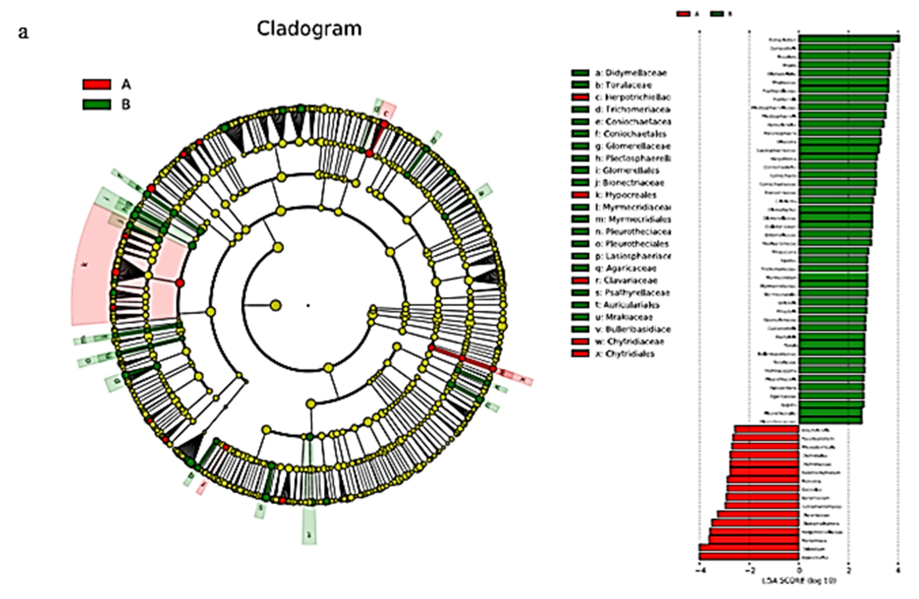 Microorganisms 08 02023 g008a Microorganisms 08 02023 g008a