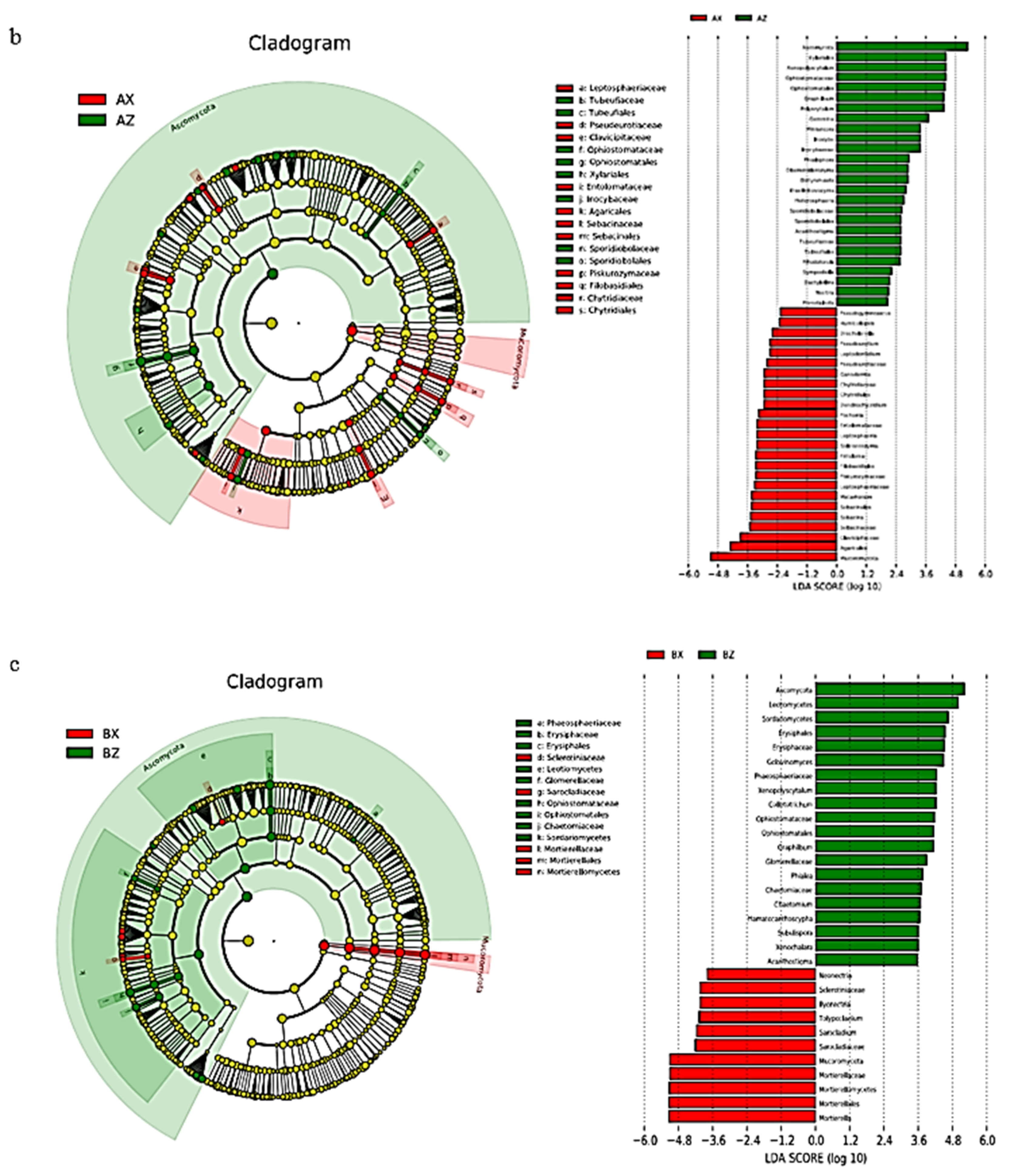 Microorganisms 08 02023 g008b Microorganisms 08 02023 g008b