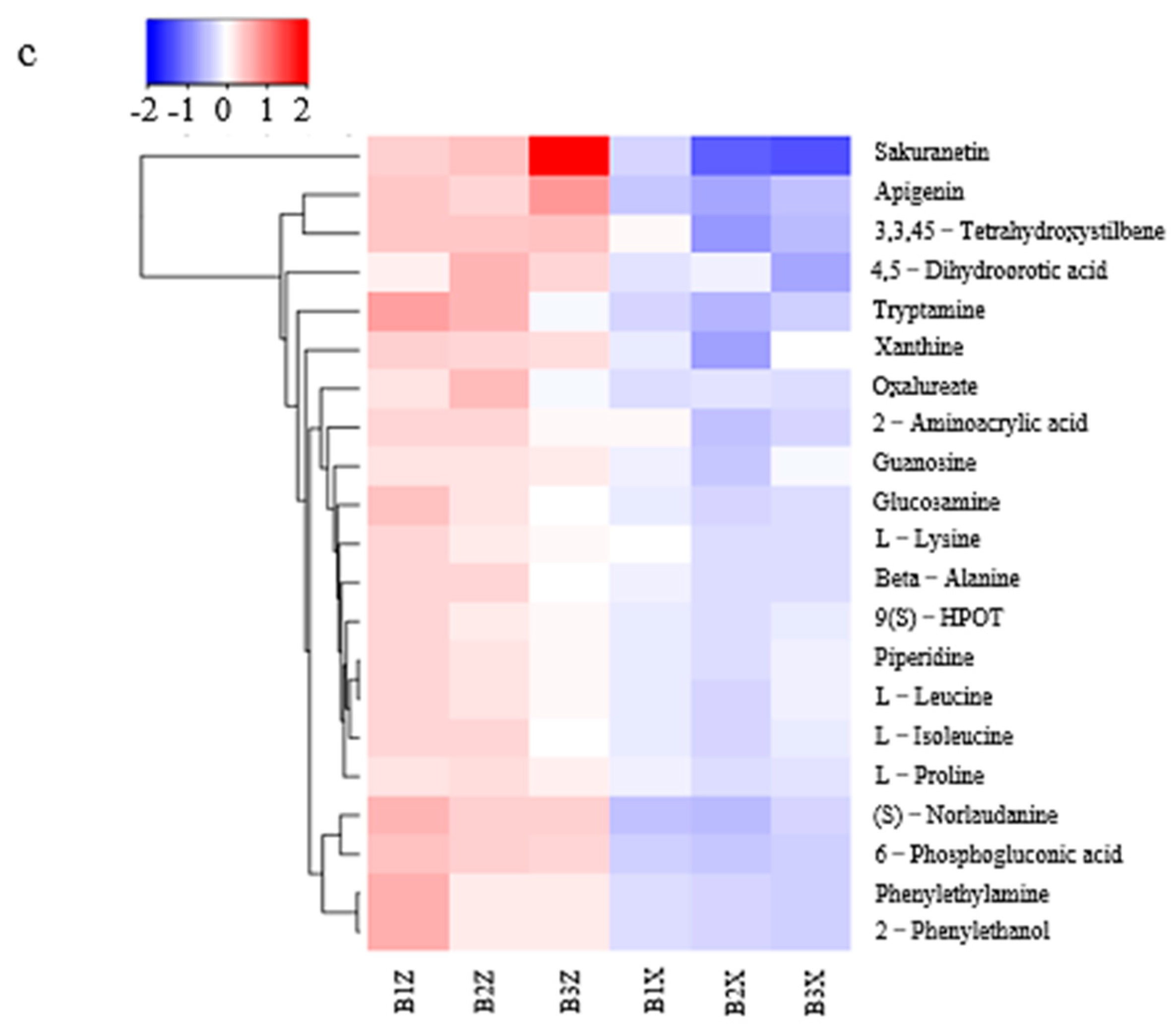 Microorganisms 08 02023 g010b Microorganisms 08 02023 g010b