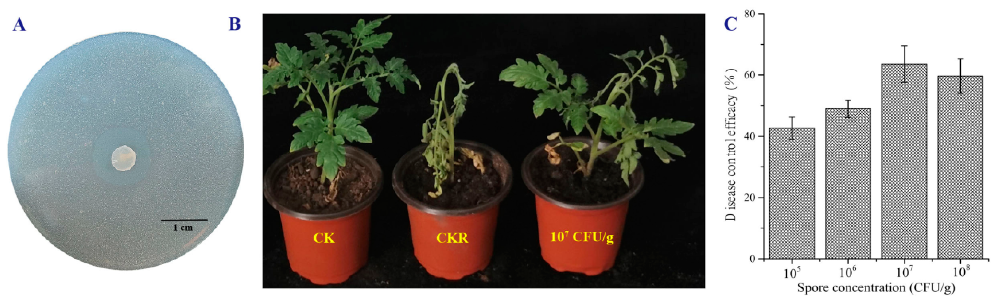 Microorganisms 08 02025 g004 Microorganisms 08 02025 g004