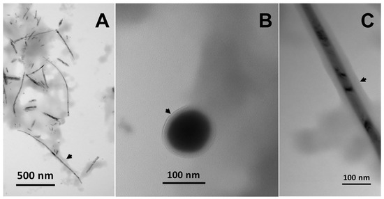 Microorganisms 08 02027 g003 550