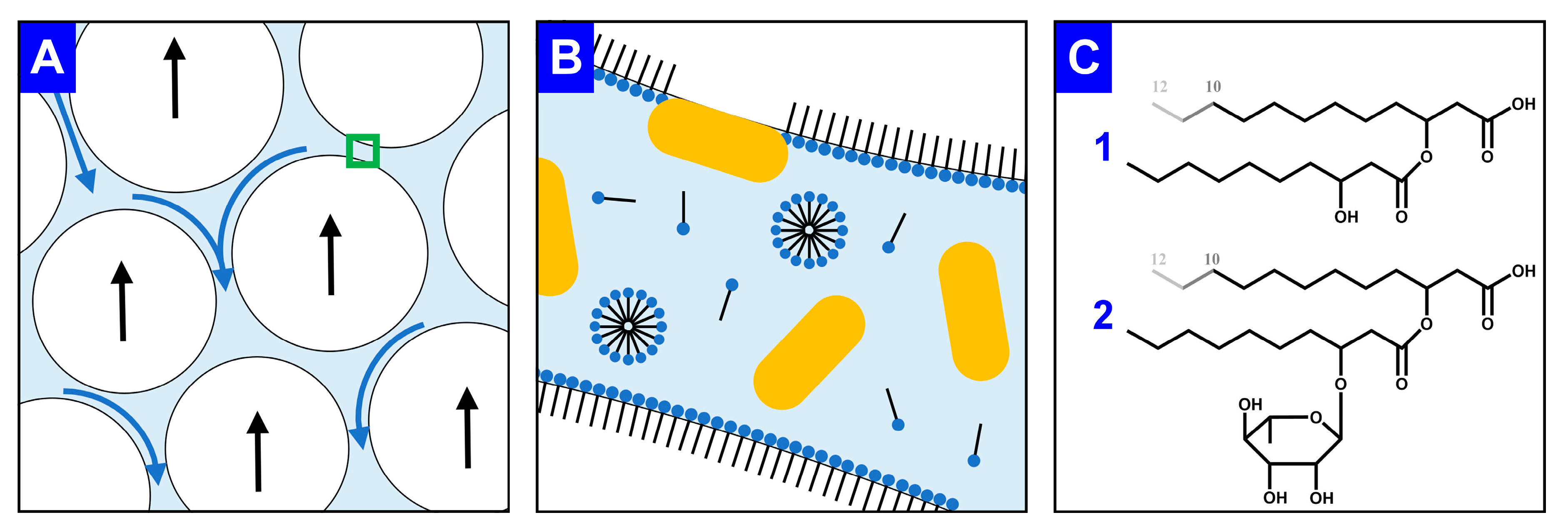 Microorganisms 08 02029 g001 Microorganisms 08 02029 g001