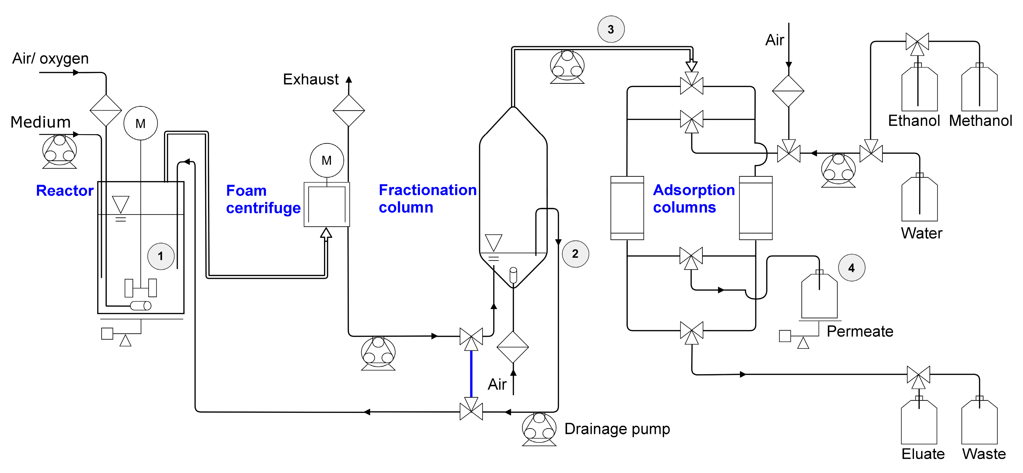 Microorganisms 08 02029 g002 Microorganisms 08 02029 g002