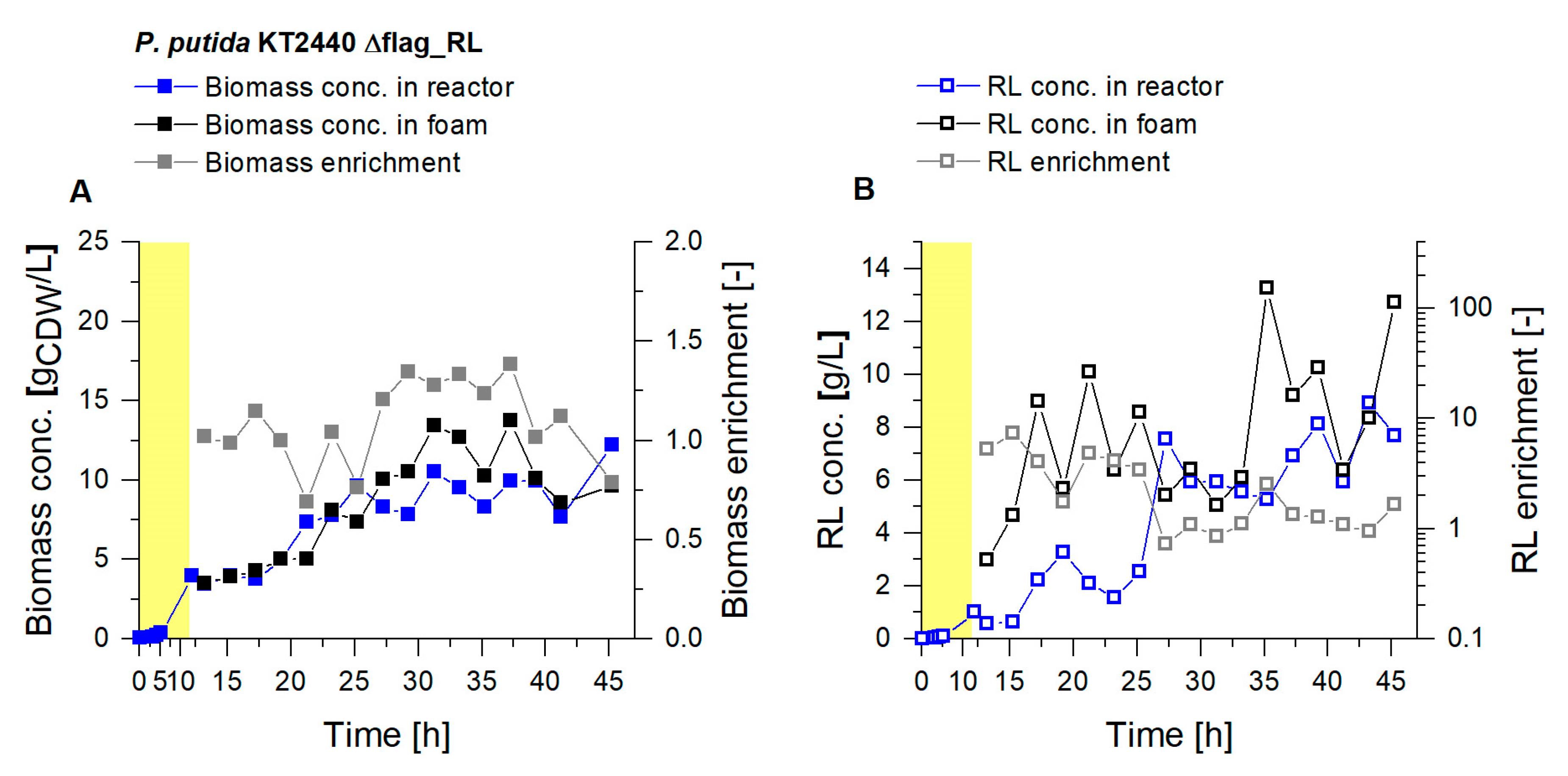 Microorganisms 08 02029 g007 Microorganisms 08 02029 g007