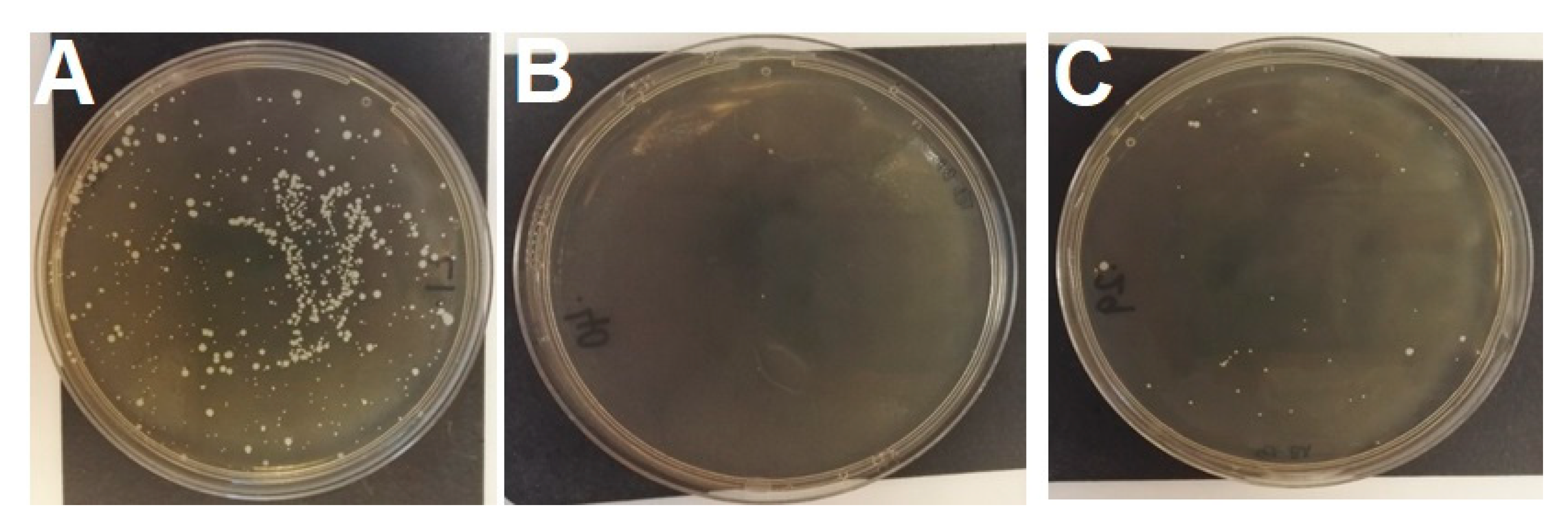 Microorganisms 08 02031 g001