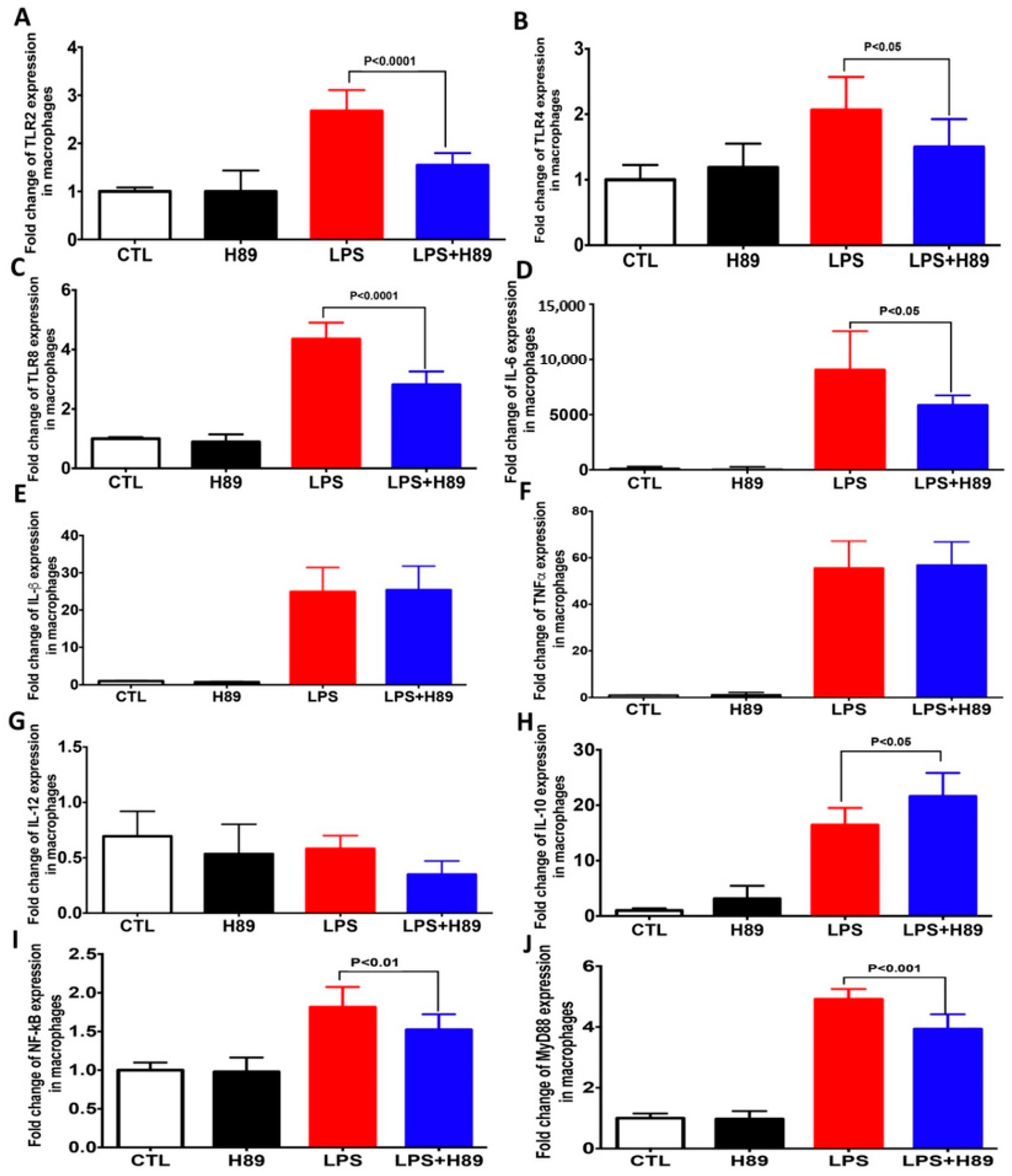 Microorganisms 08 02039 g002