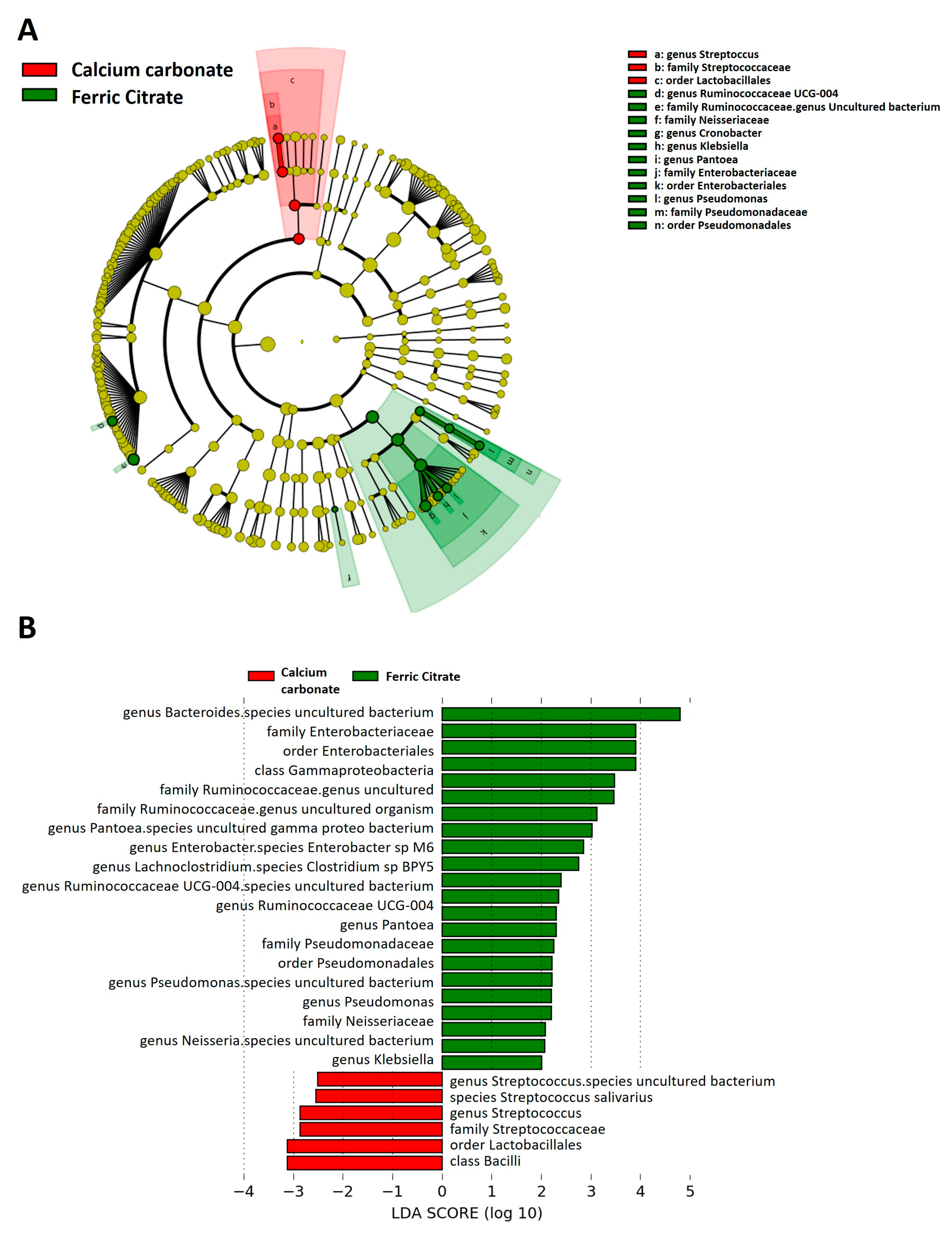 Microorganisms 08 02040 g002