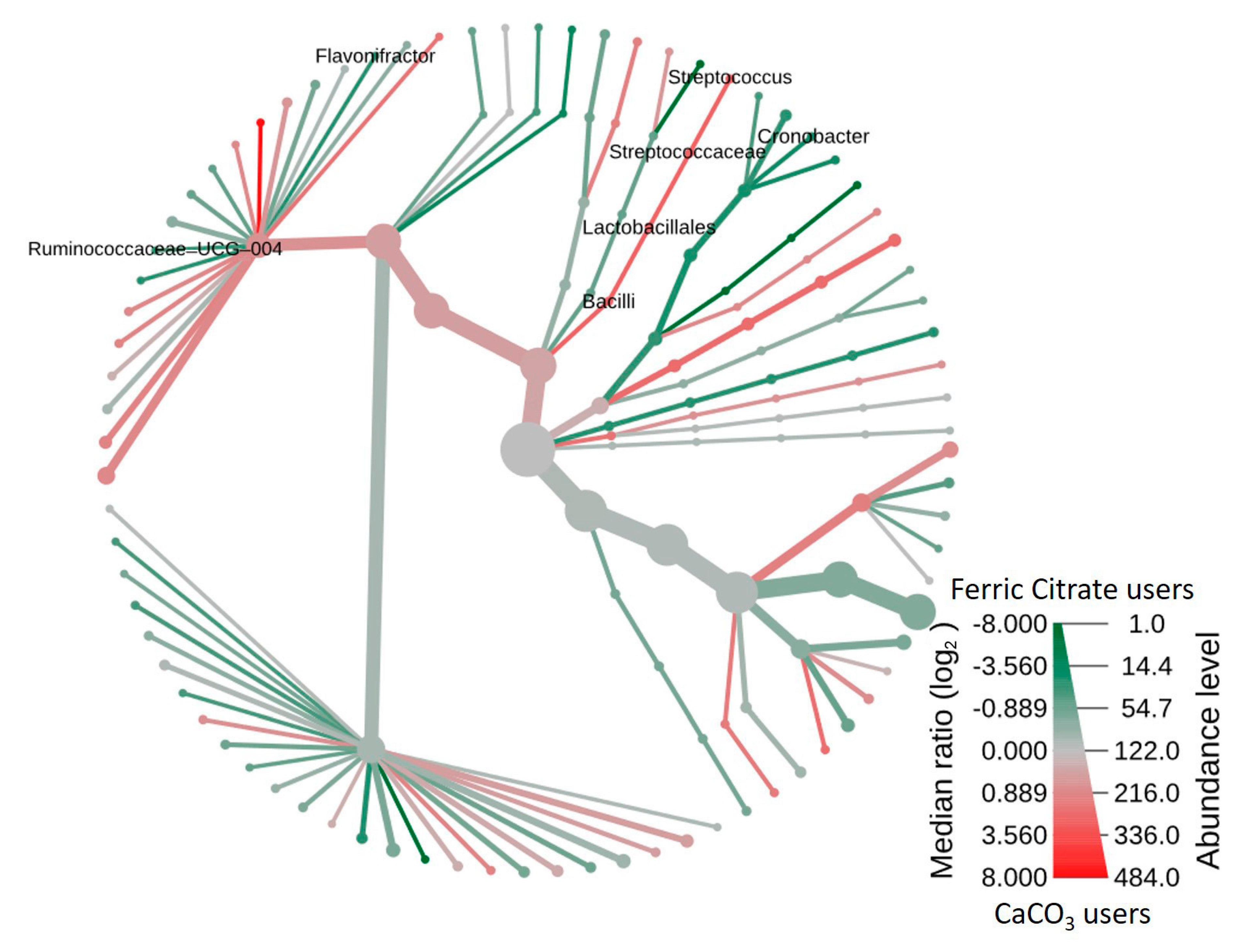 Microorganisms 08 02040 g003