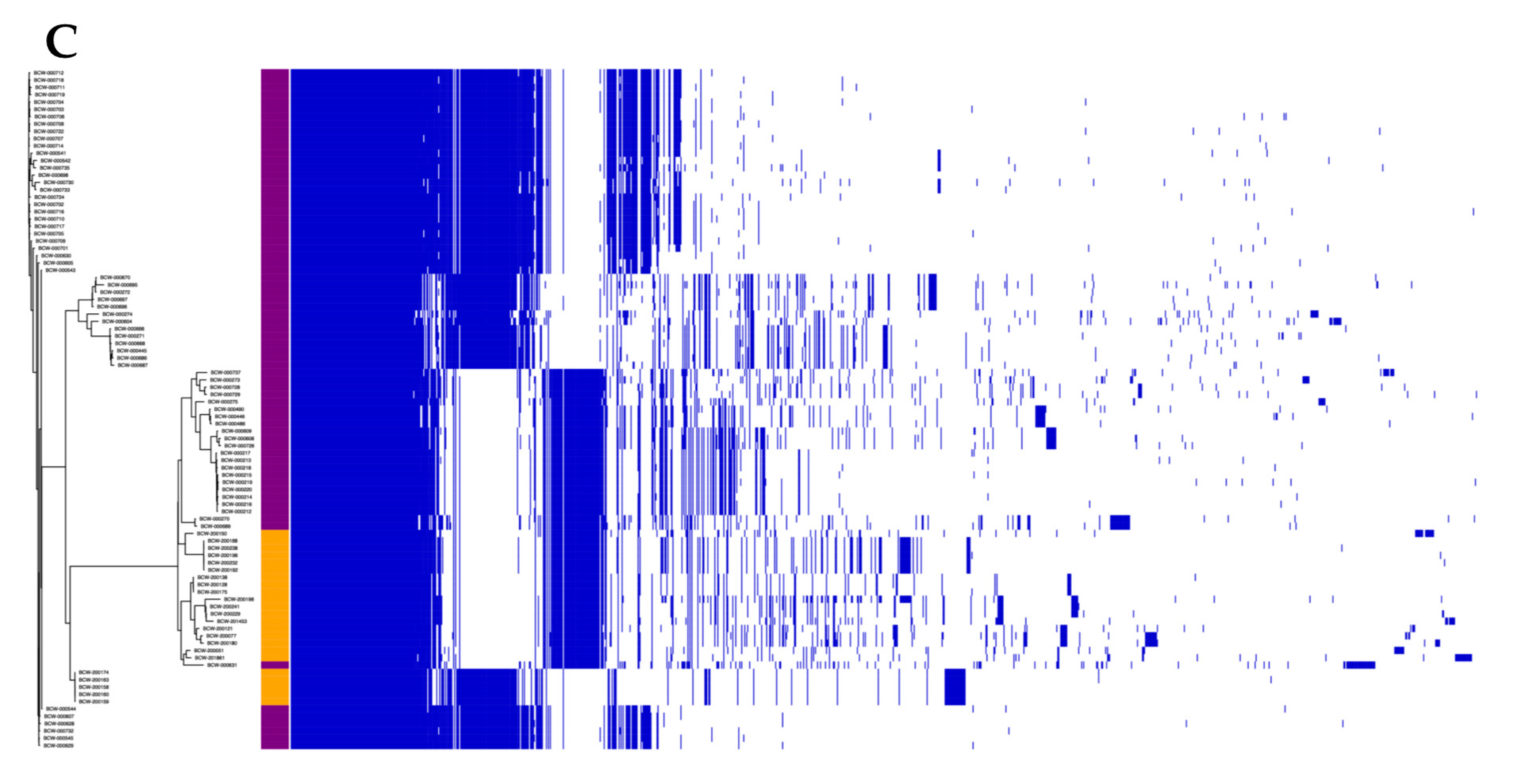 Microorganisms 08 02043 g002b Microorganisms 08 02043 g002b