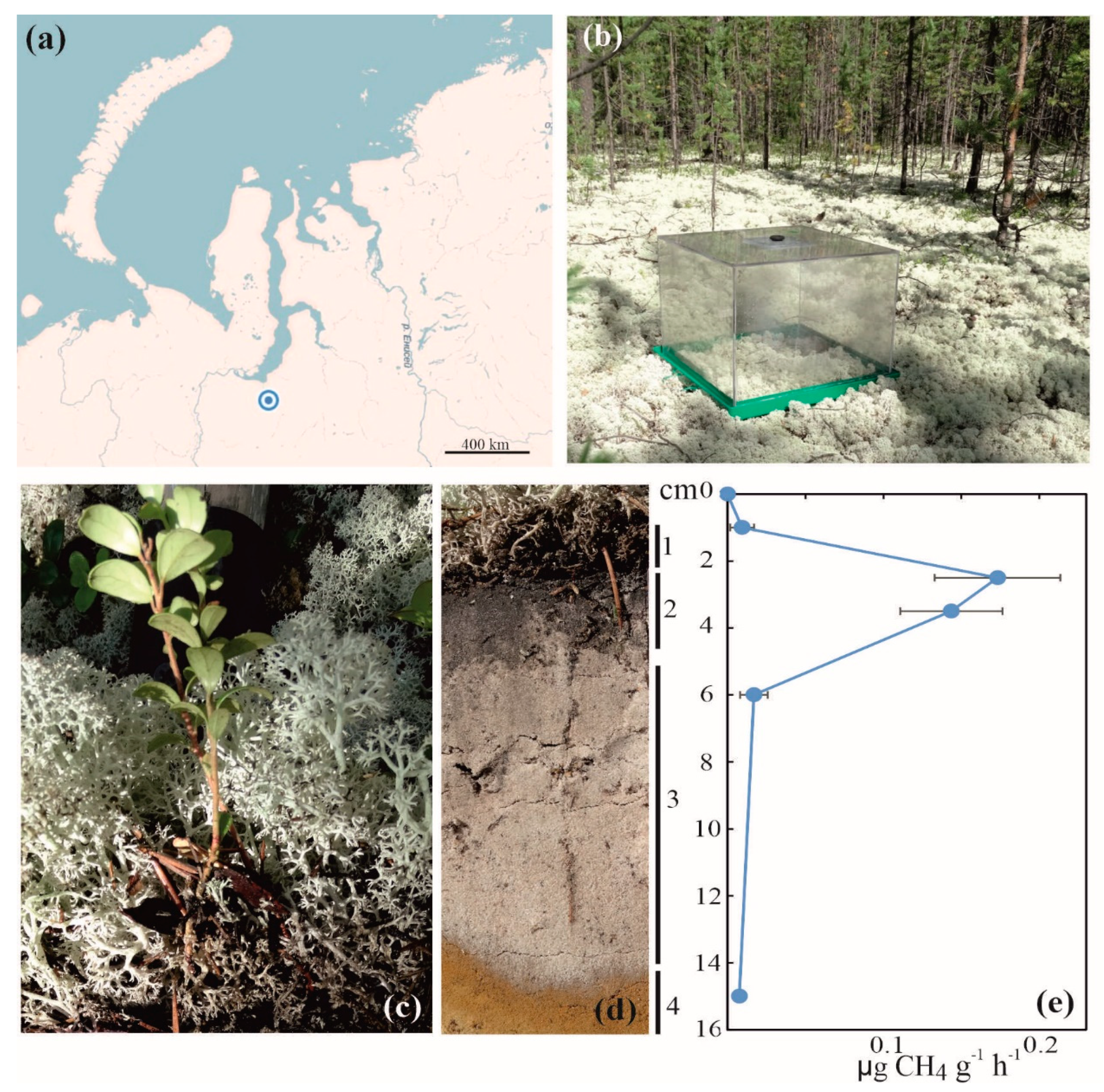 Microorganisms 08 02047 g001