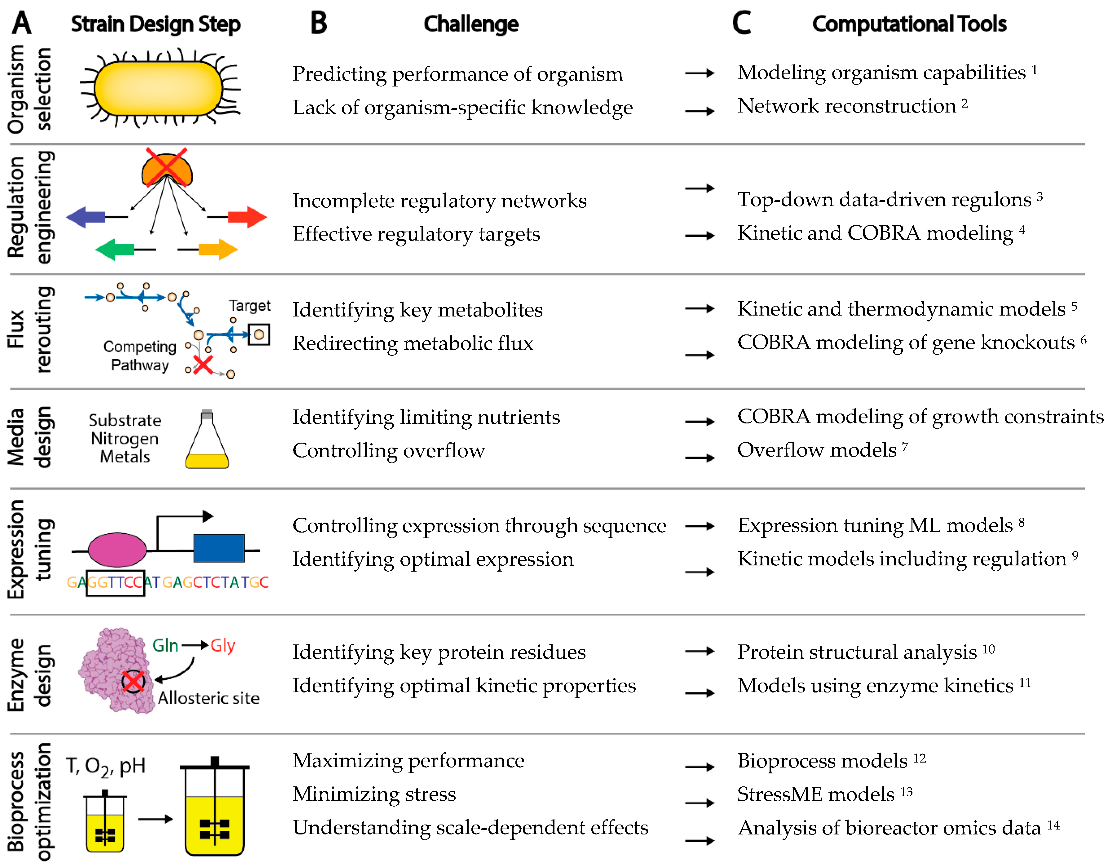 Microorganisms 08 02050 g001 Microorganisms 08 02050 g001