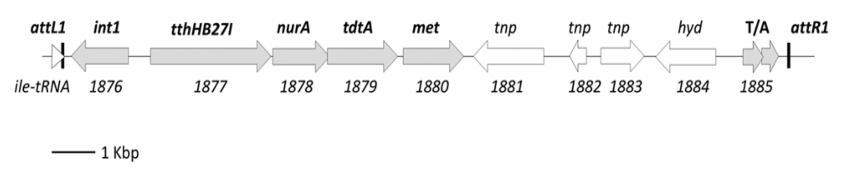 Microorganisms 08 02051 g001