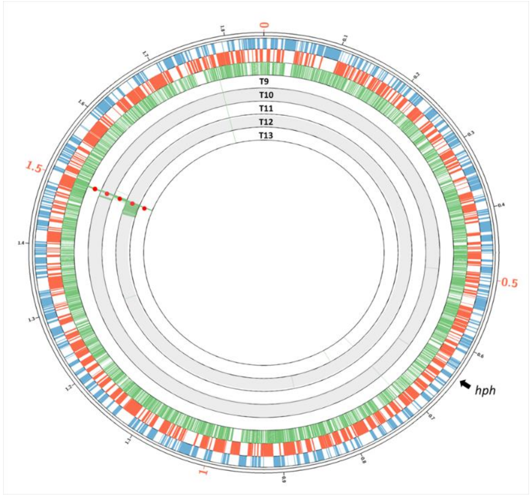 Microorganisms 08 02051 g003