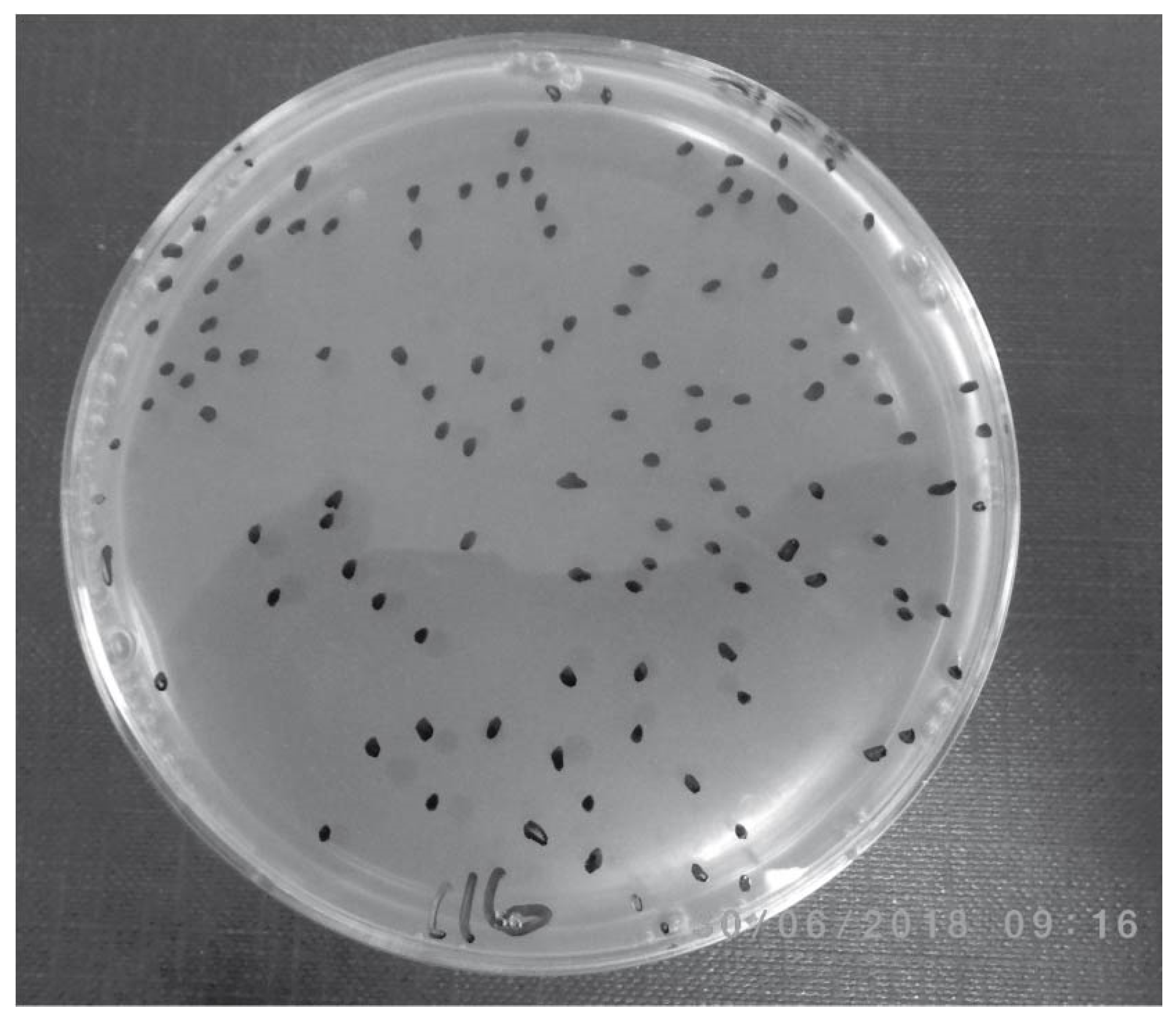Microorganisms 08 02054 g002