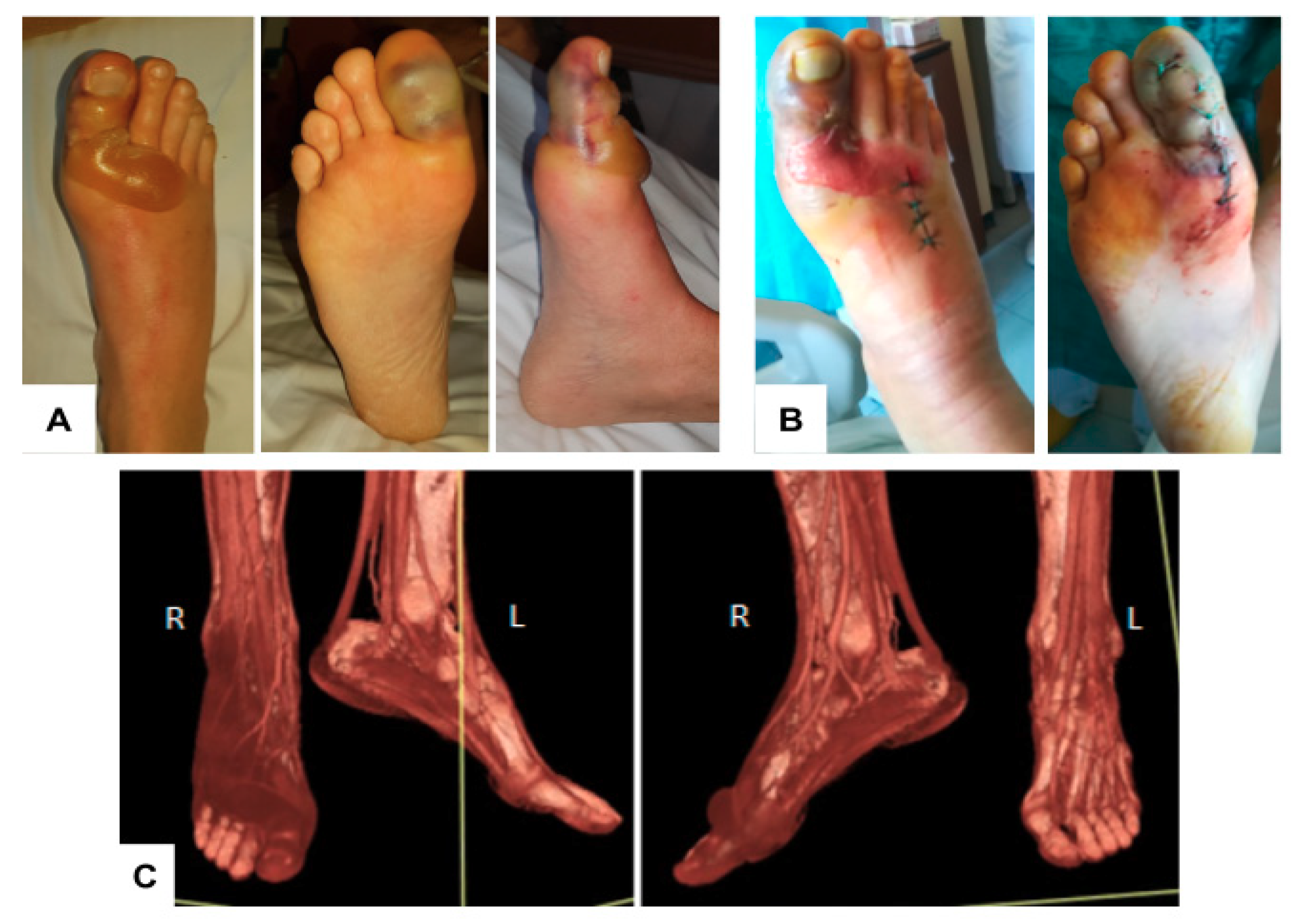 Microorganisms 08 02055 g002 Microorganisms 08 02055 g002