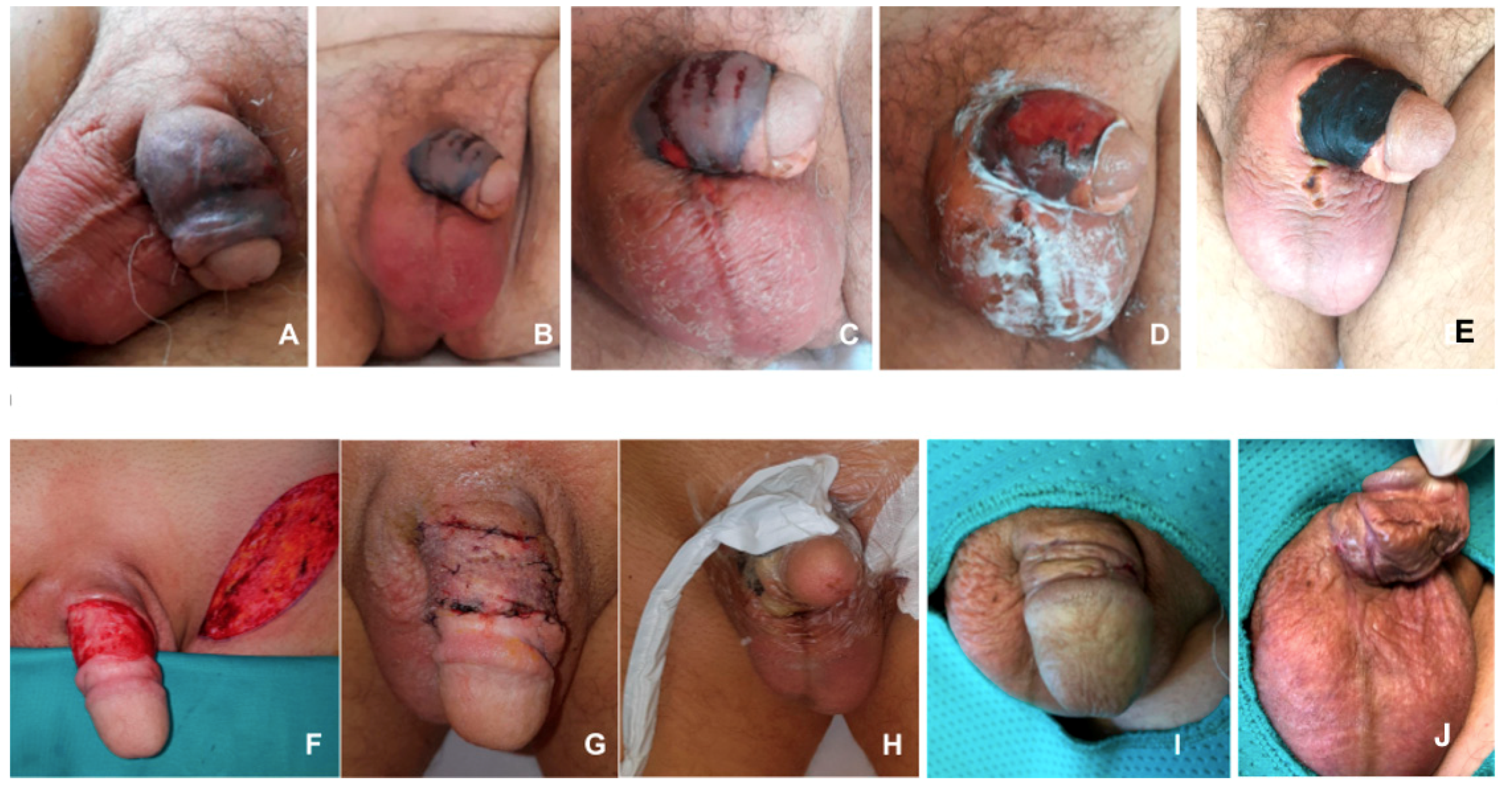 Microorganisms 08 02055 g003 Microorganisms 08 02055 g003