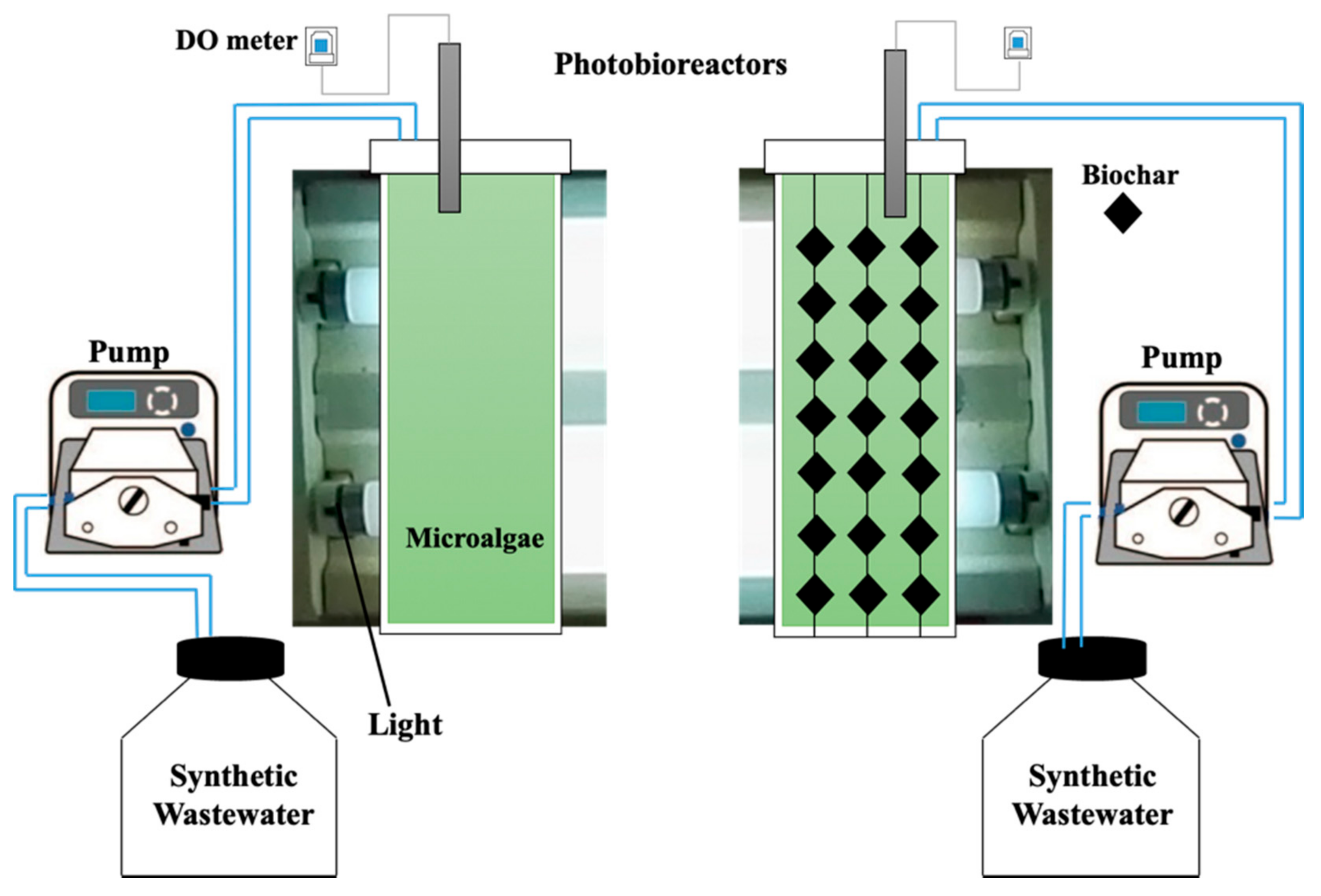 Microorganisms 09 00004 g001 Microorganisms 09 00004 g001