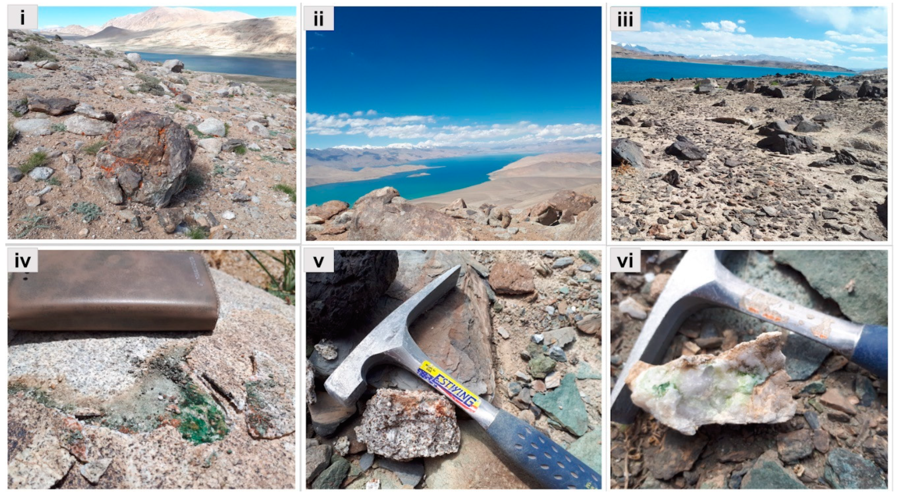 Microorganisms 09 00006 g001 Microorganisms 09 00006 g001