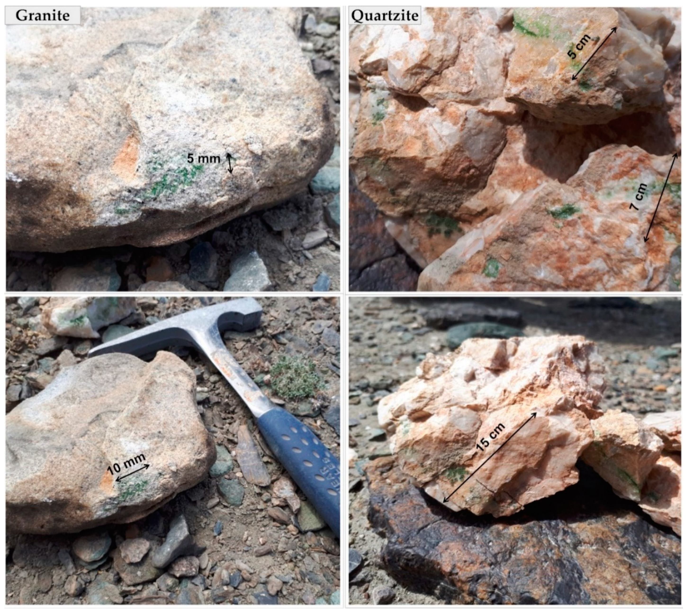 Microorganisms 09 00006 g002 Microorganisms 09 00006 g002