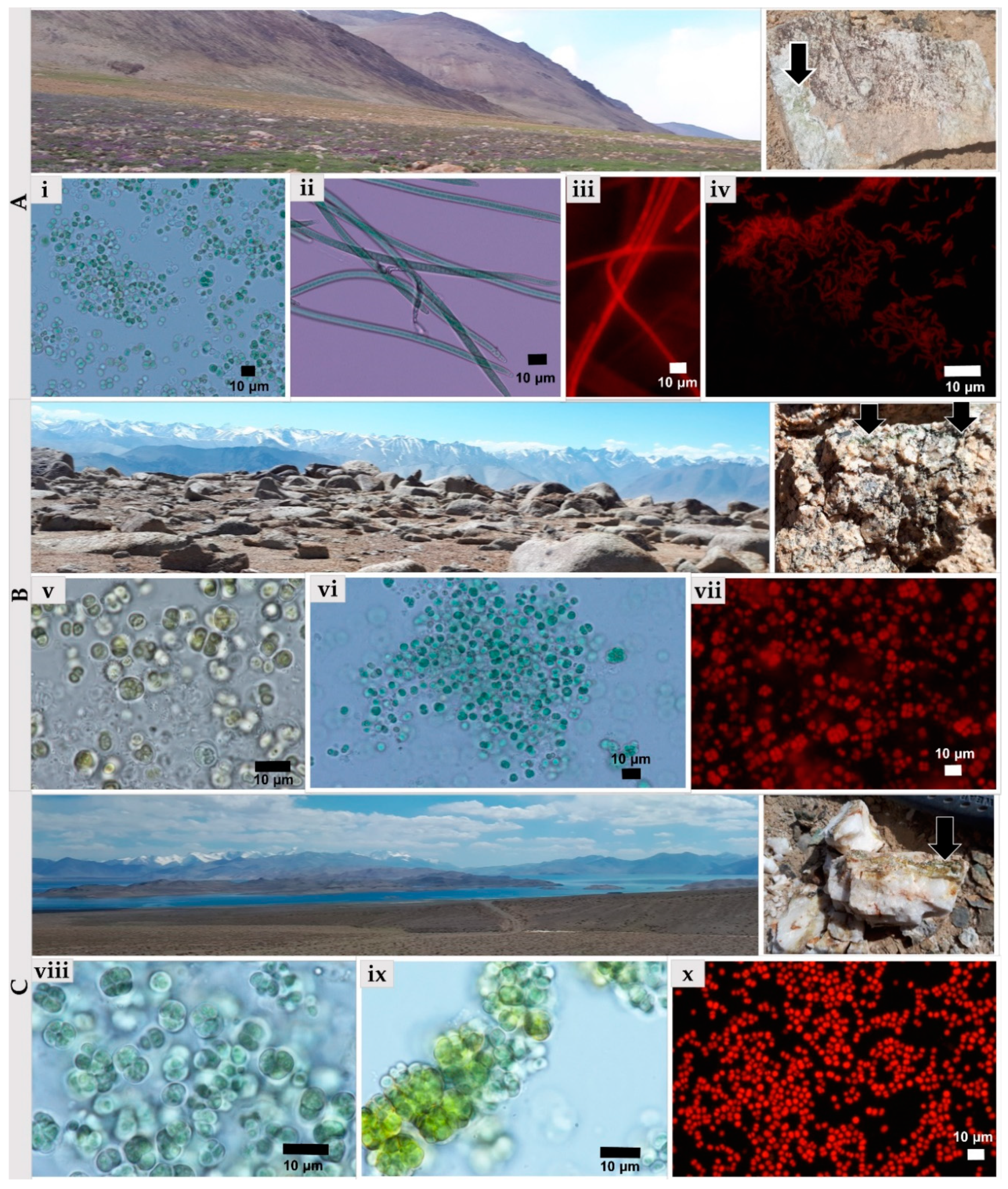 Microorganisms 09 00006 g006 Microorganisms 09 00006 g006