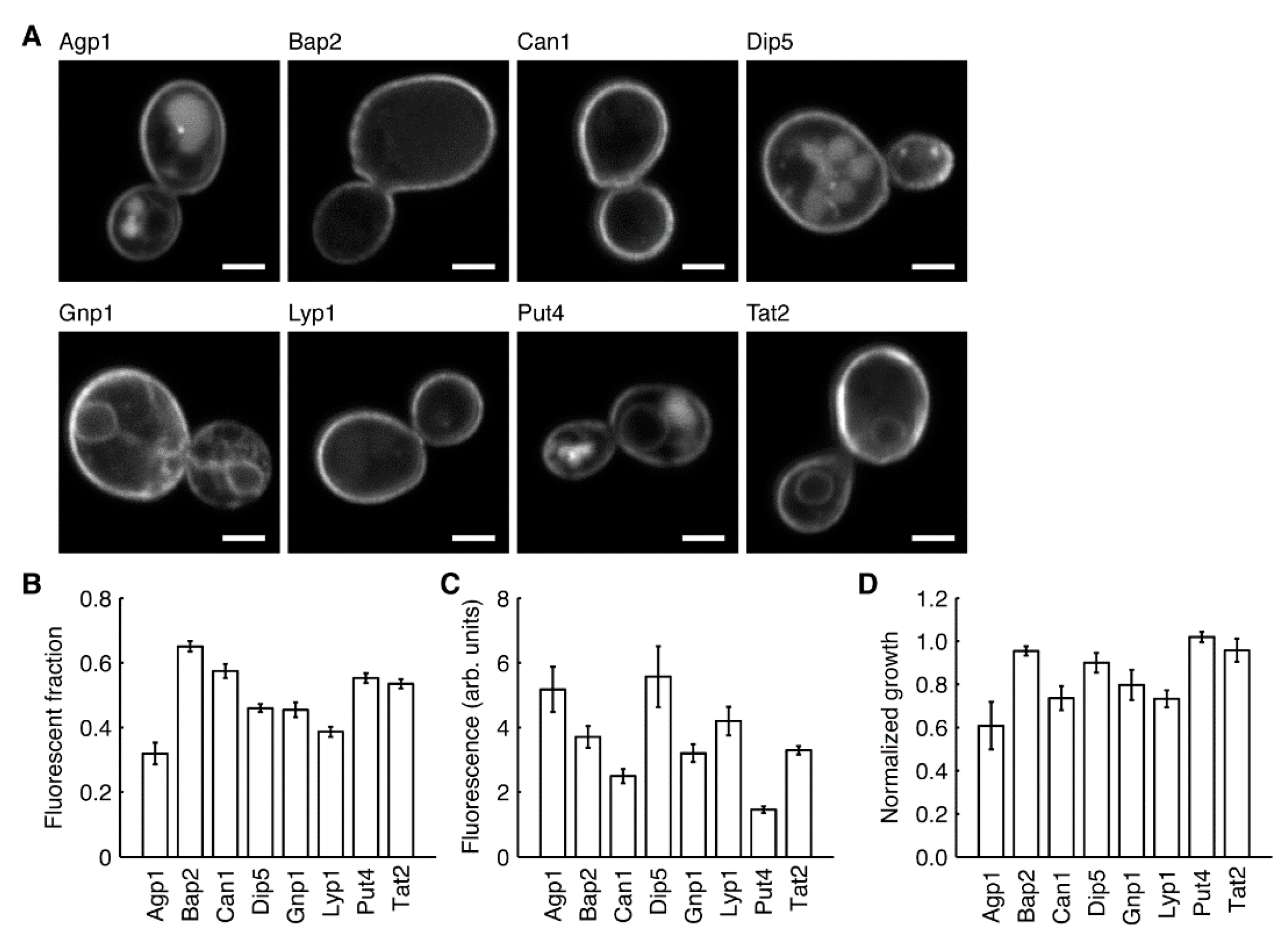 Microorganisms 09 00007 g001