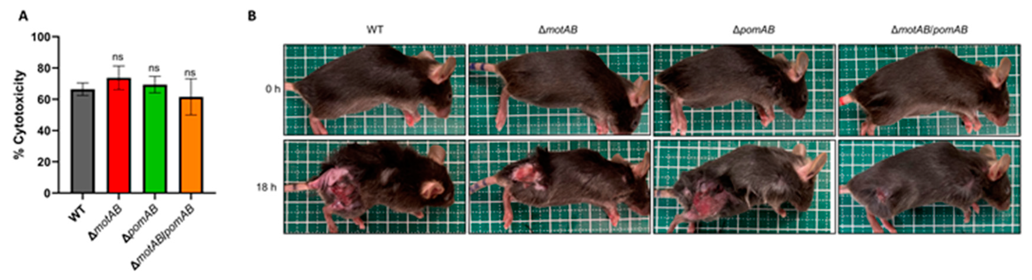 Microorganisms 09 00010 g002 Microorganisms 09 00010 g002